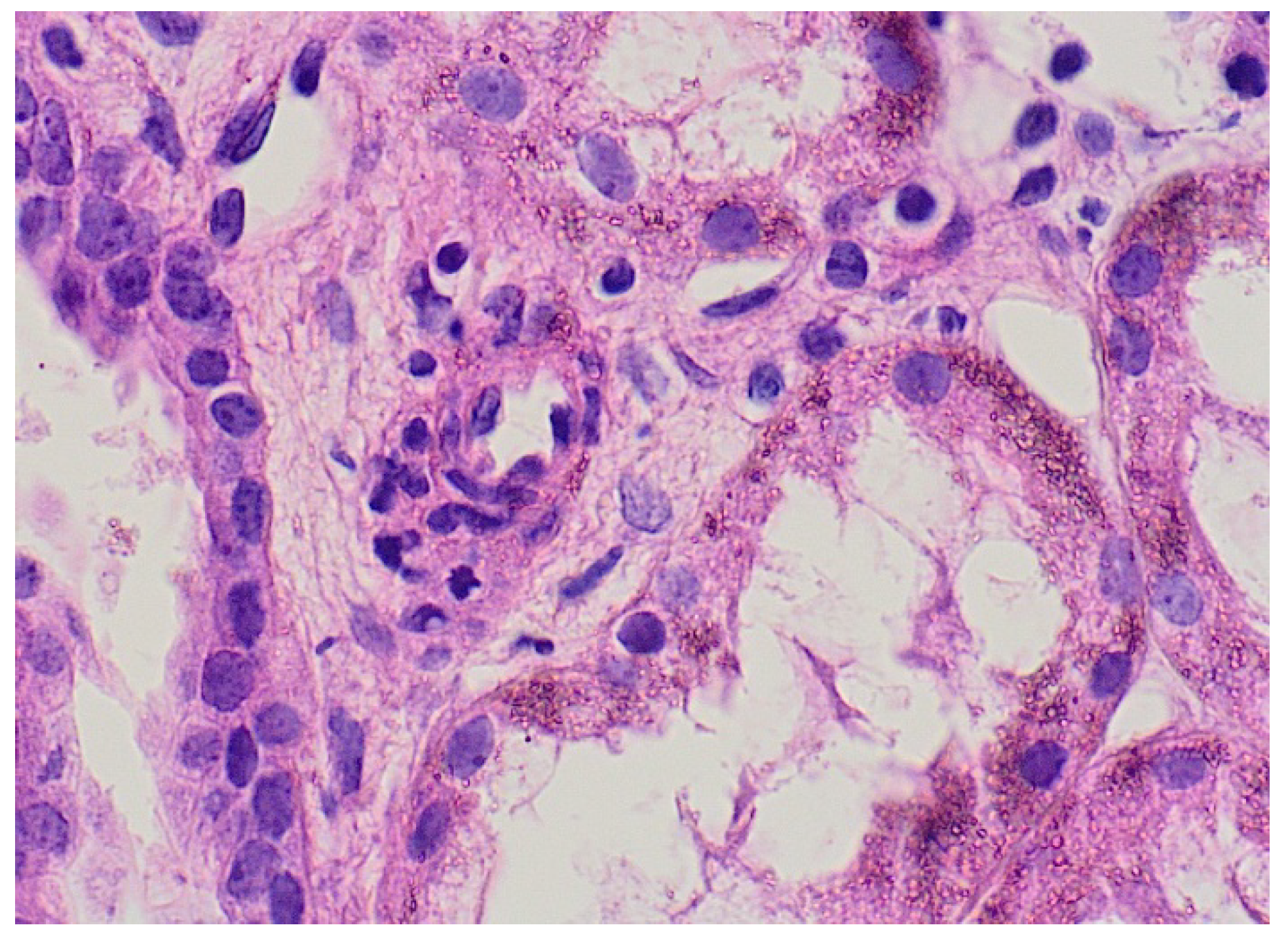 Healthcare 09 01694 g003