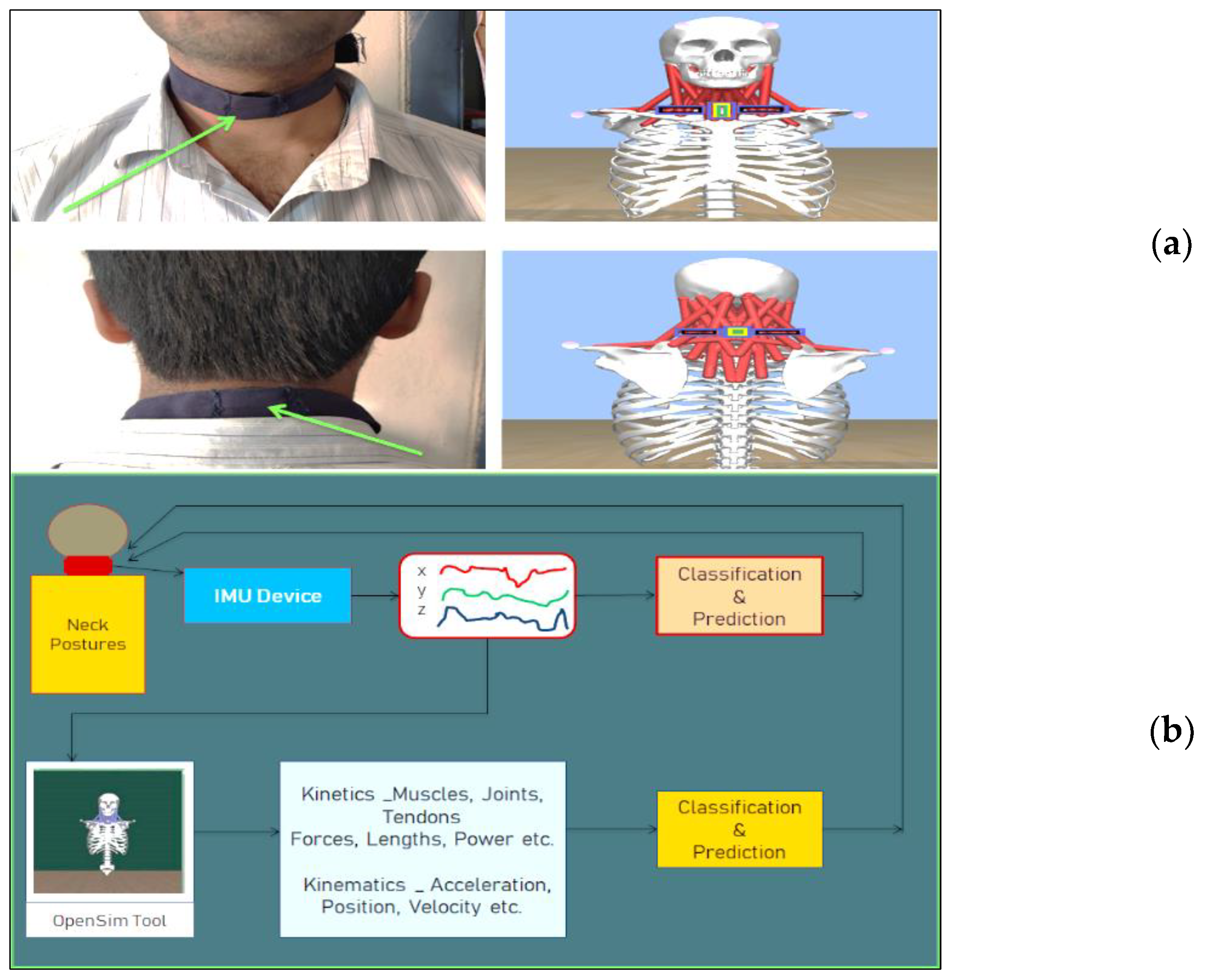 Healthcare 09 01755 g005