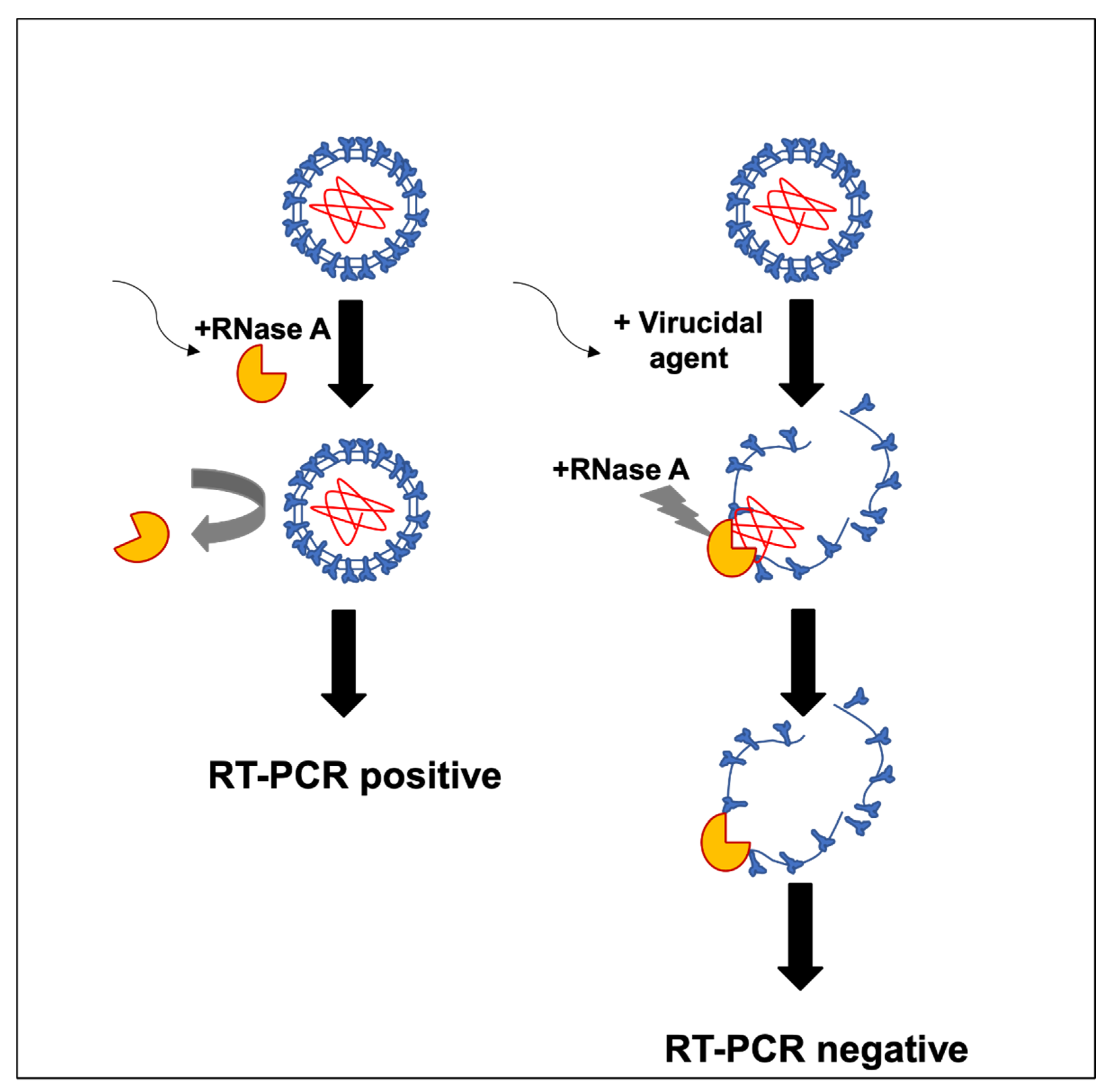 Healthcare 10 00063 g001