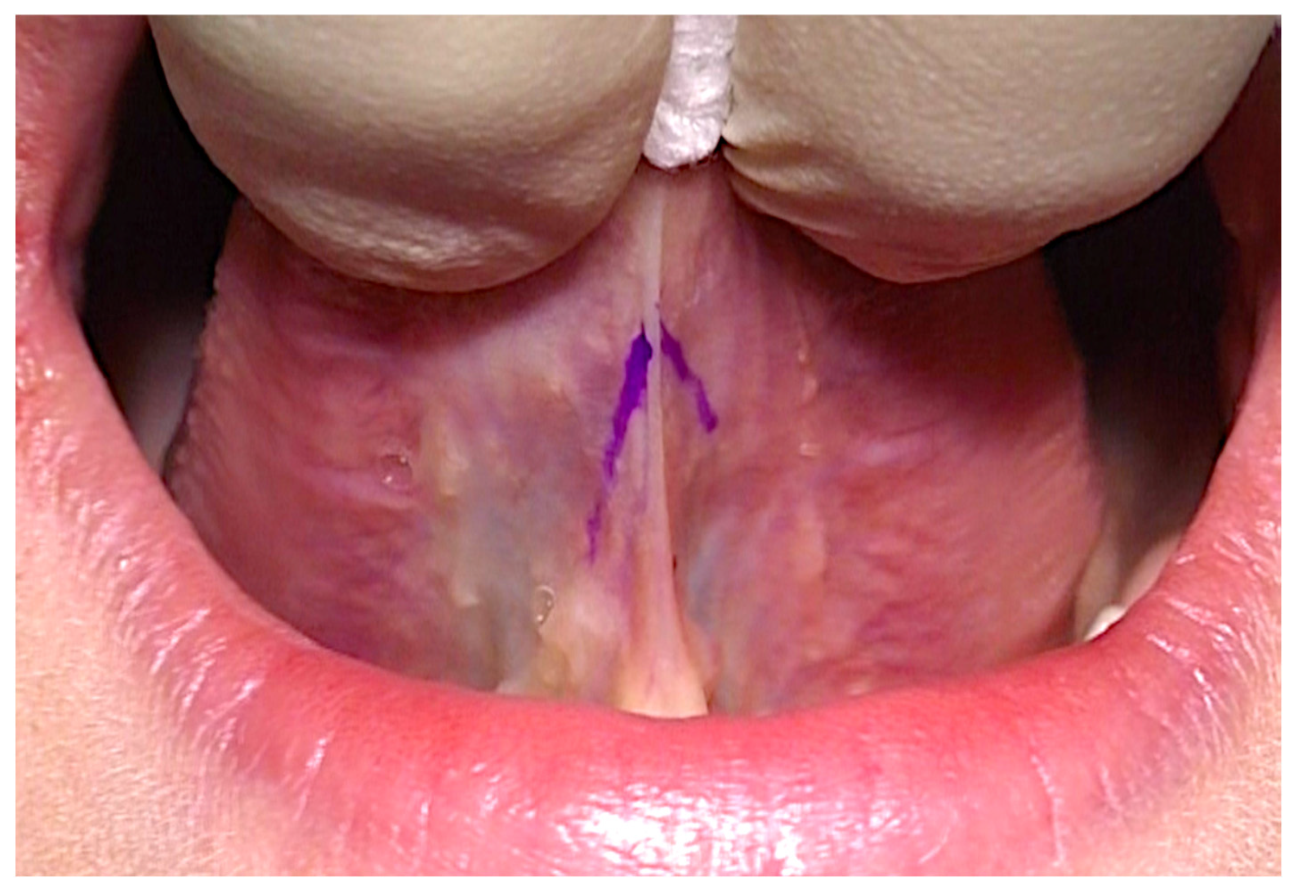 Healthcare 10 00089 g006 550