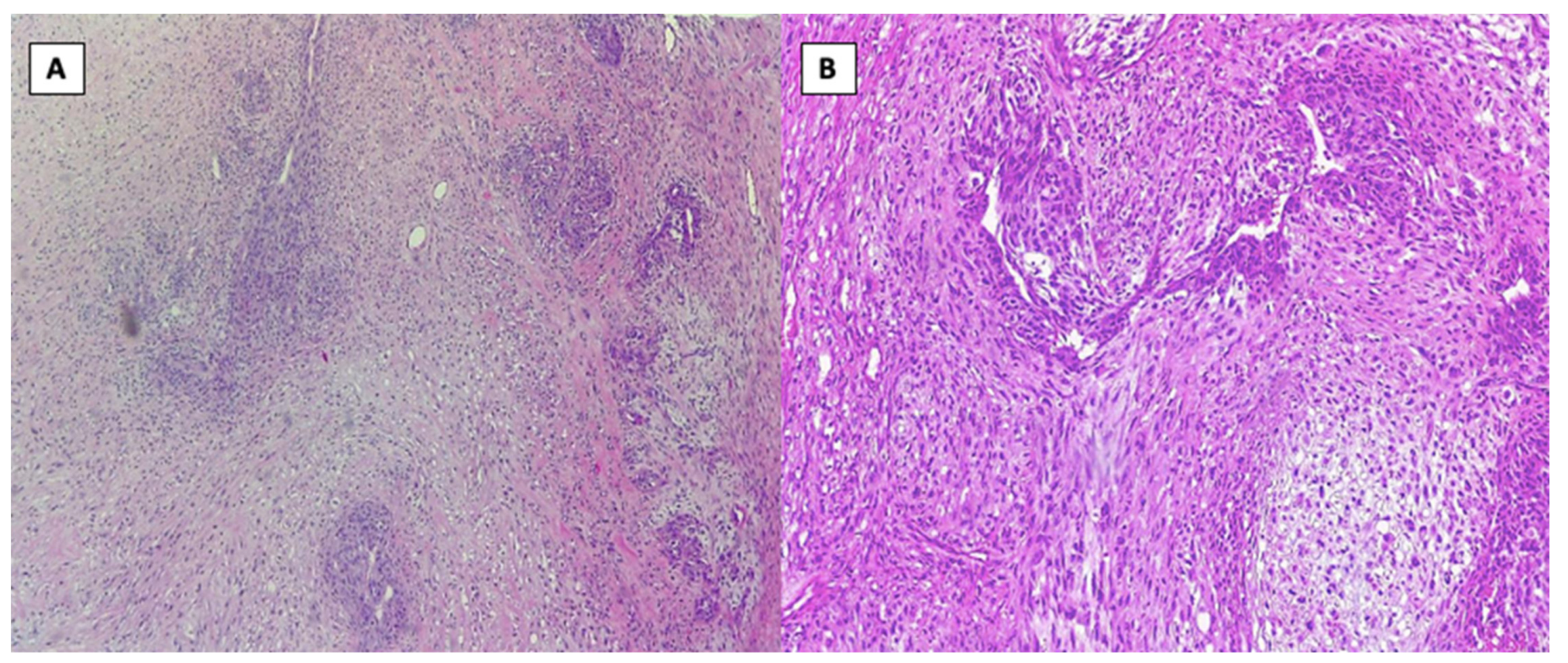 Healthcare 10 00158 g001 Healthcare 10 00158 g001