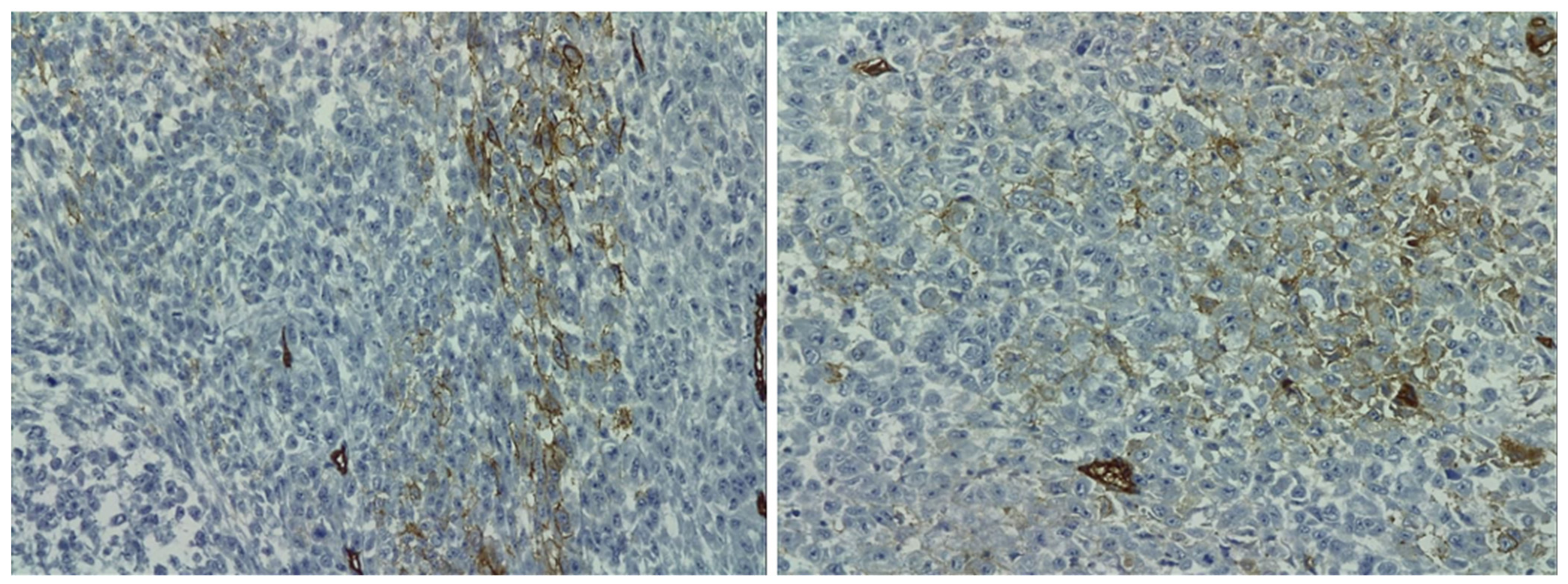 Healthcare 10 00158 g004 Healthcare 10 00158 g004