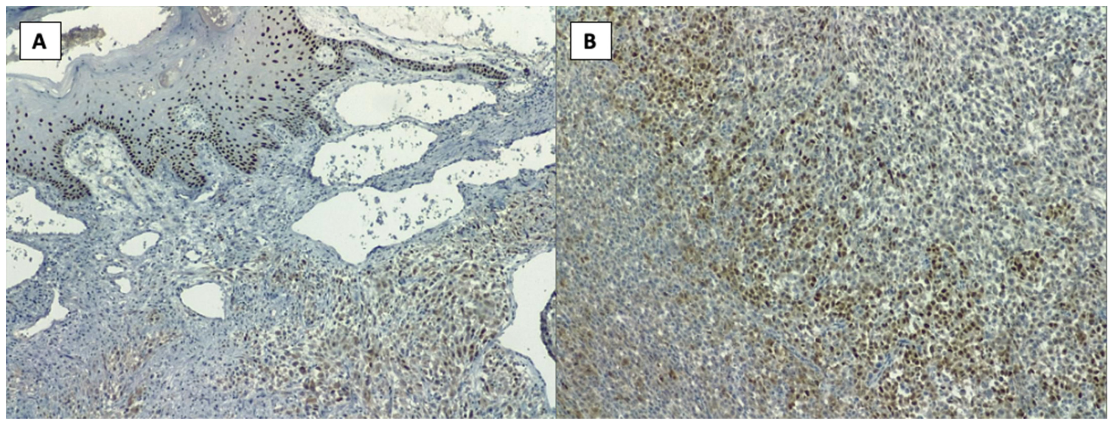 Healthcare 10 00158 g005 Healthcare 10 00158 g005