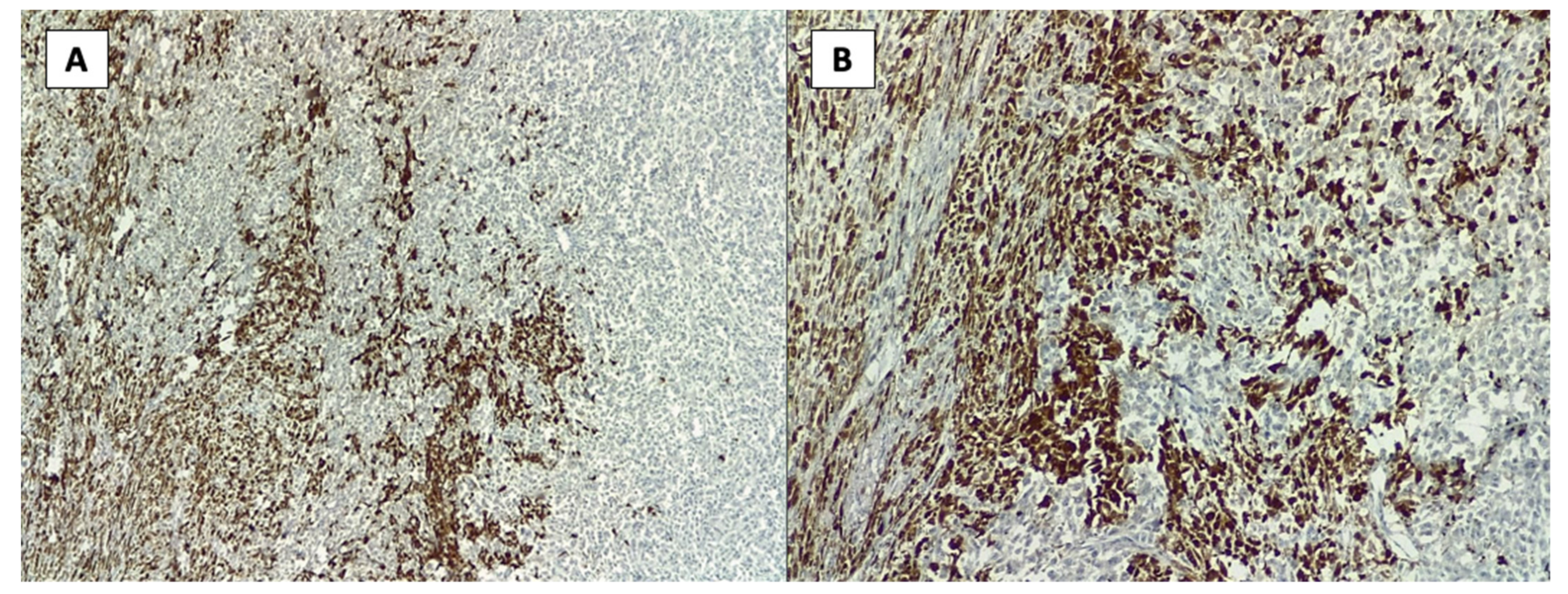 Healthcare 10 00158 g006 Healthcare 10 00158 g006