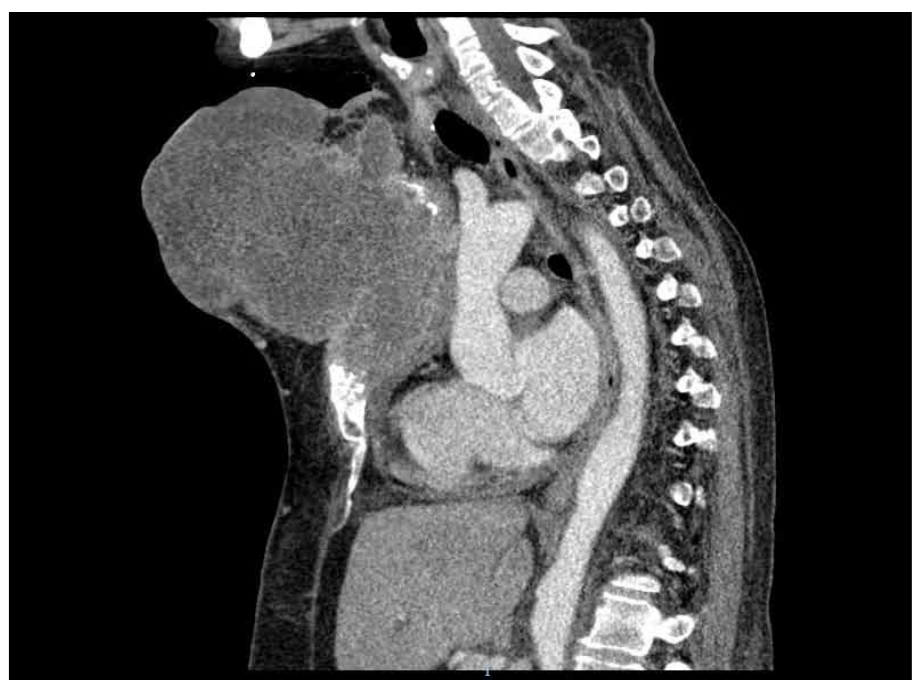 Healthcare 10 00158 g008 Healthcare 10 00158 g008