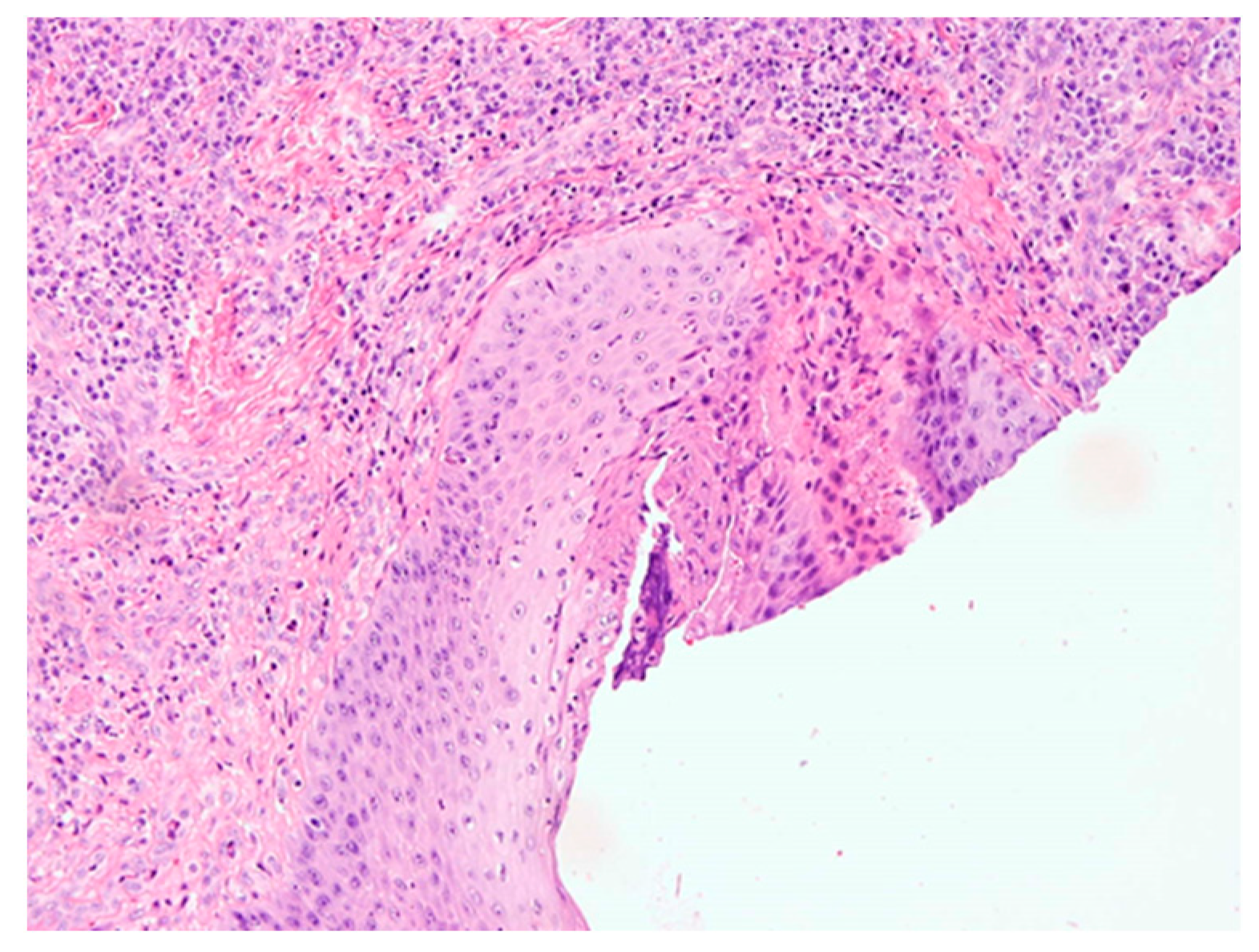 Healthcare 10 00195 g004 Healthcare 10 00195 g004