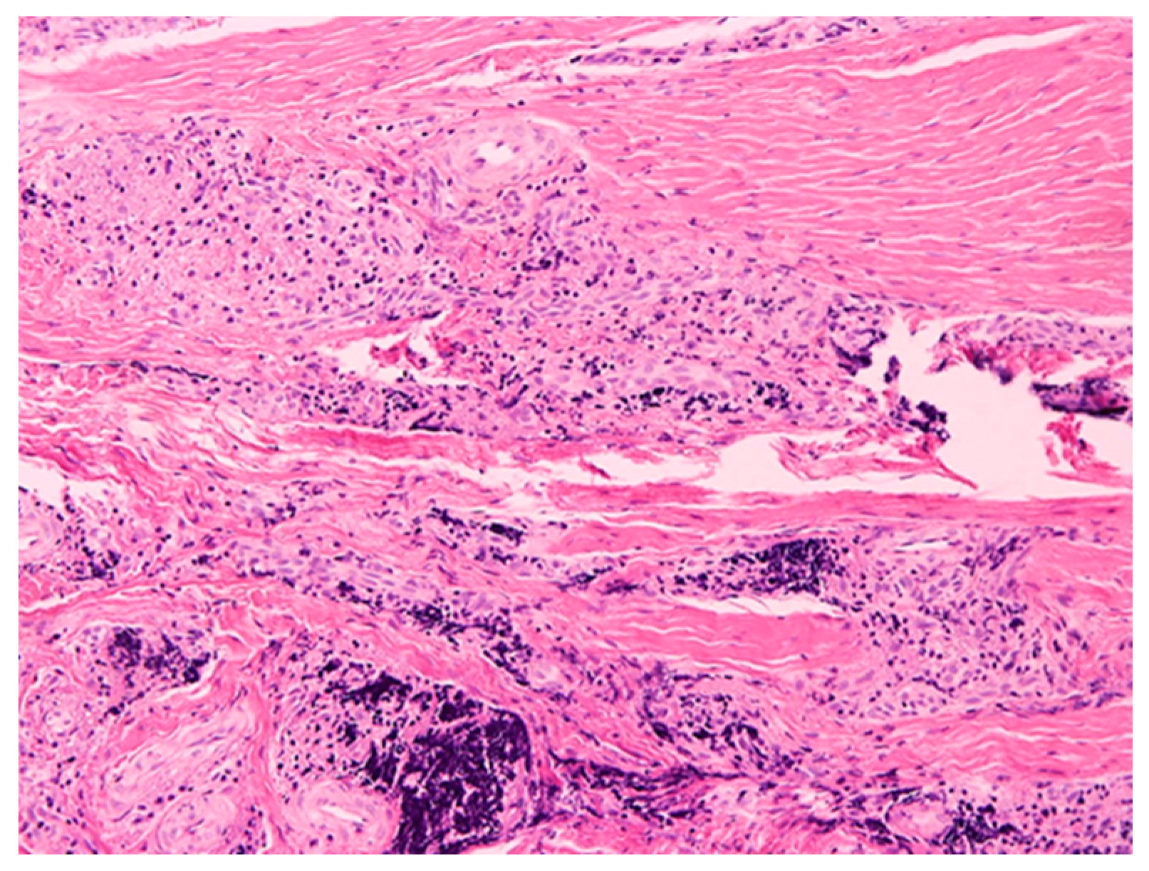 Healthcare 10 00195 g005 Healthcare 10 00195 g005