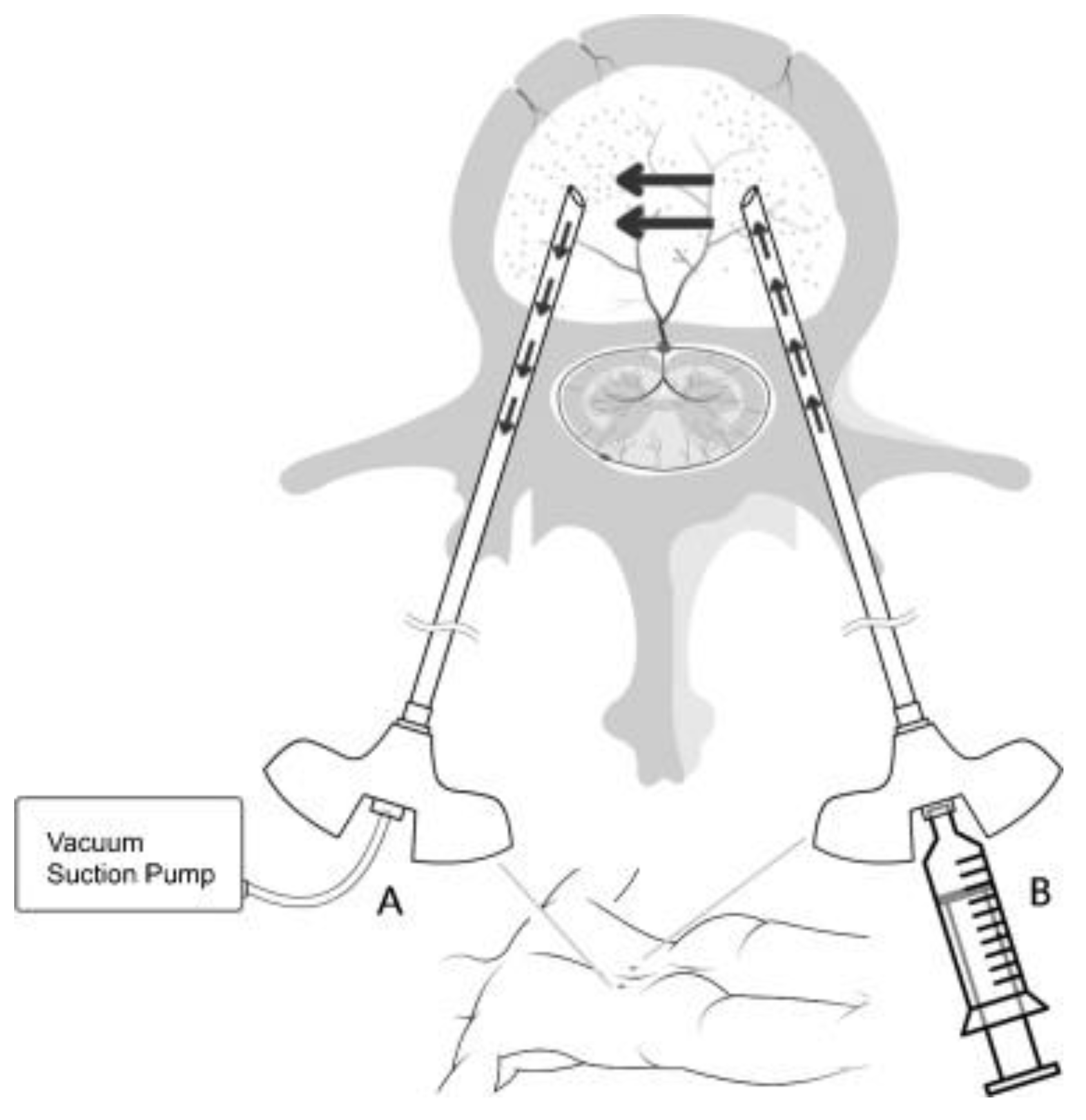 Healthcare 10 00214 g005