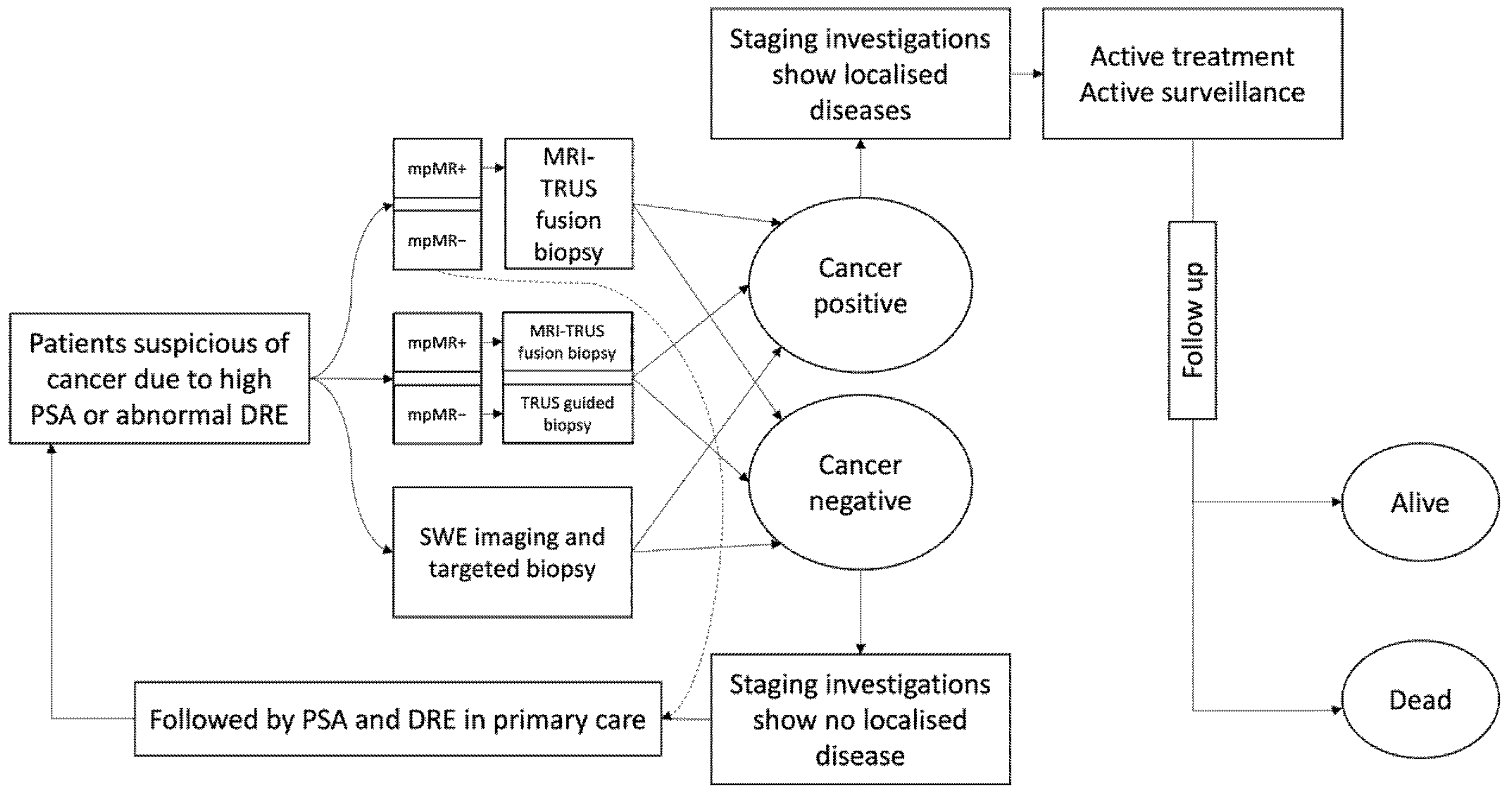 Healthcare 10 00254 g001