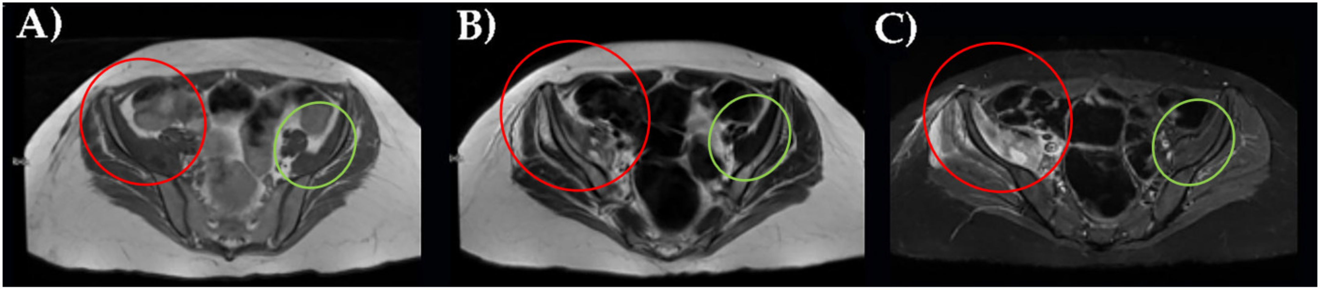 Healthcare 10 00297 g002 550