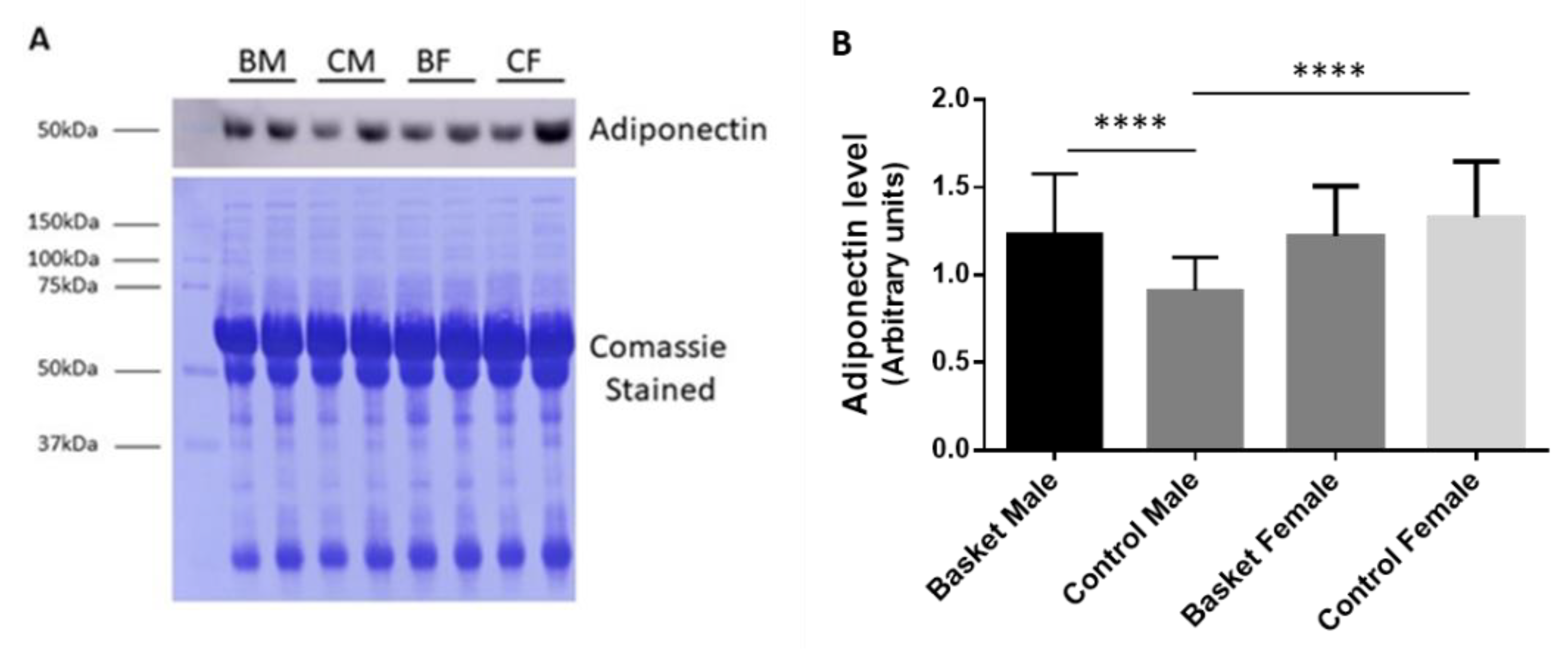 Healthcare 10 00358 g002