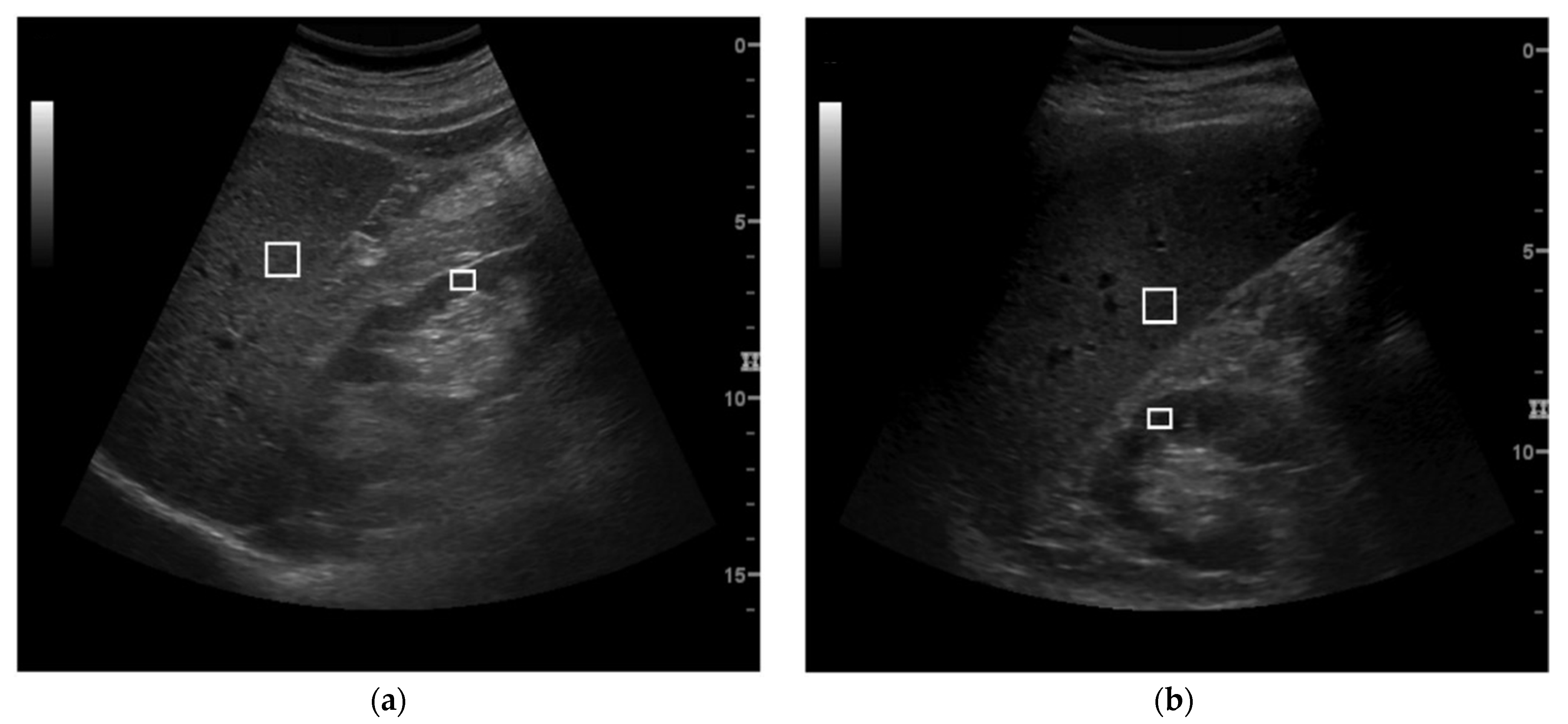 Healthcare 10 00374 g001