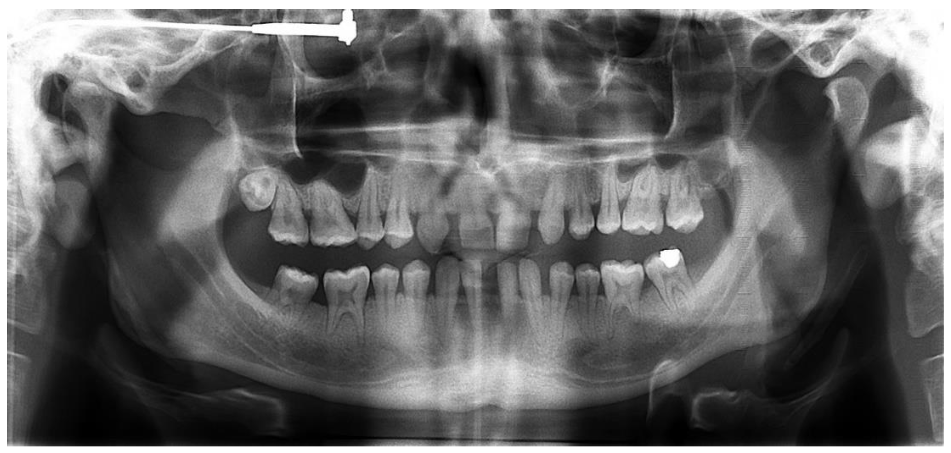 Healthcare 10 00382 g003 550