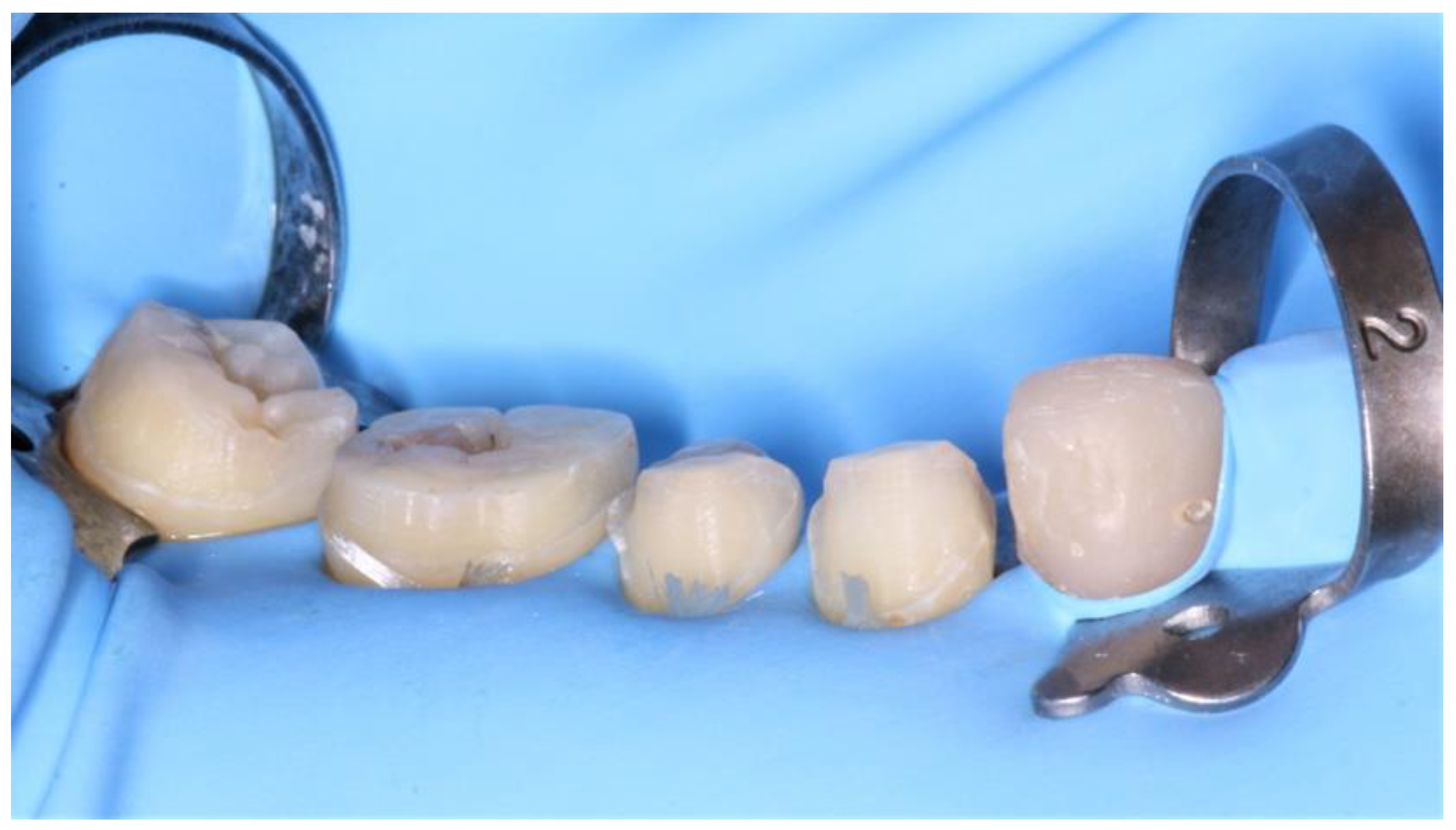 Healthcare 10 00382 g012 550