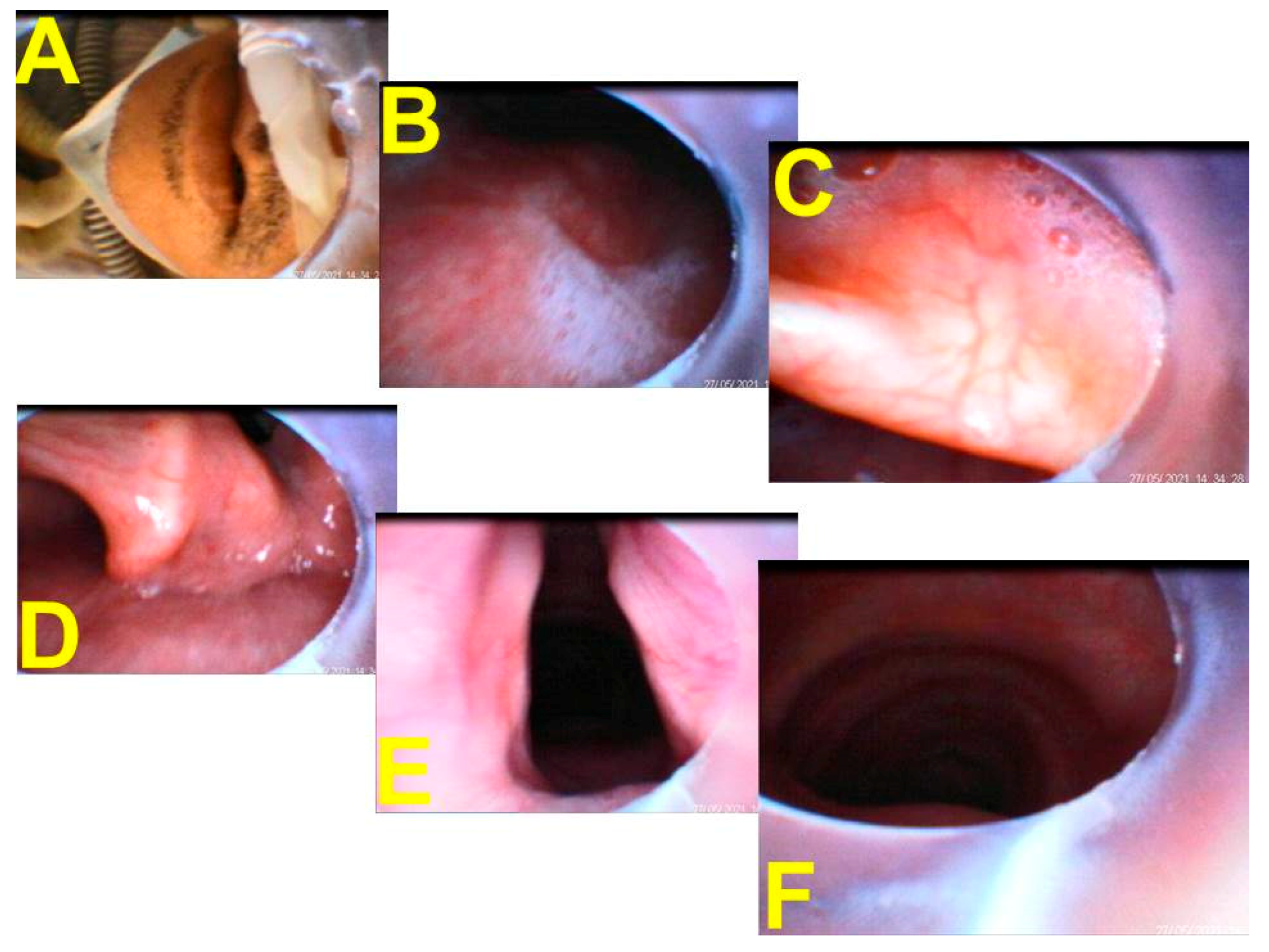 Healthcare 10 00388 g002