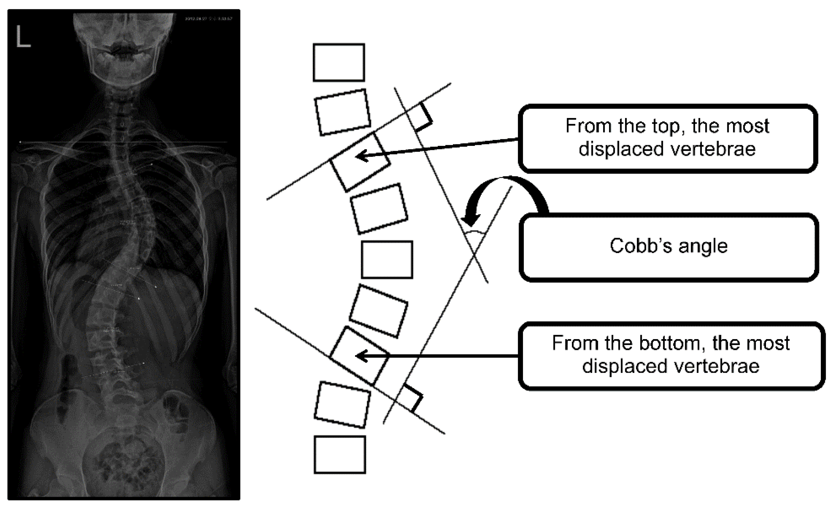 Healthcare 10 00398 g002