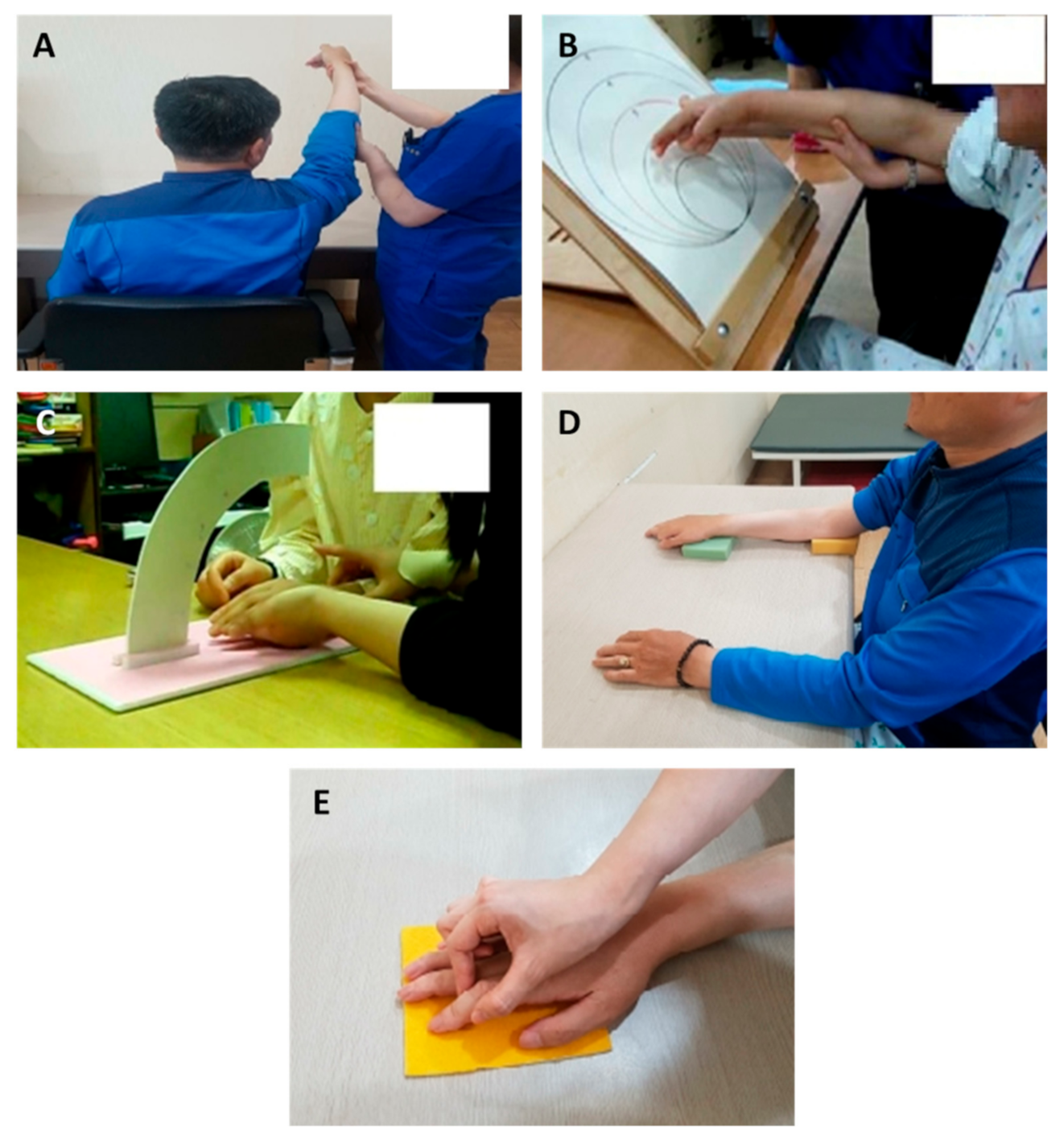 Healthcare 10 00429 g002