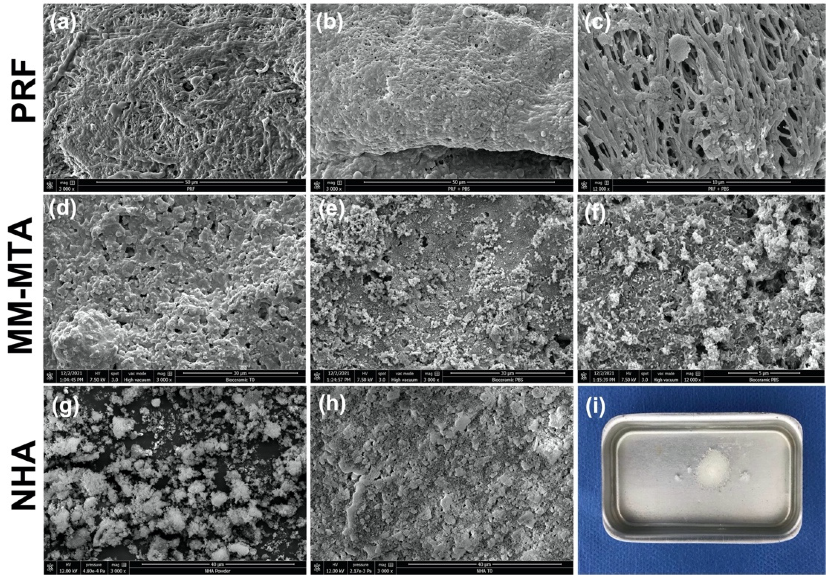 Healthcare 10 00431 g005 Healthcare 10 00431 g005