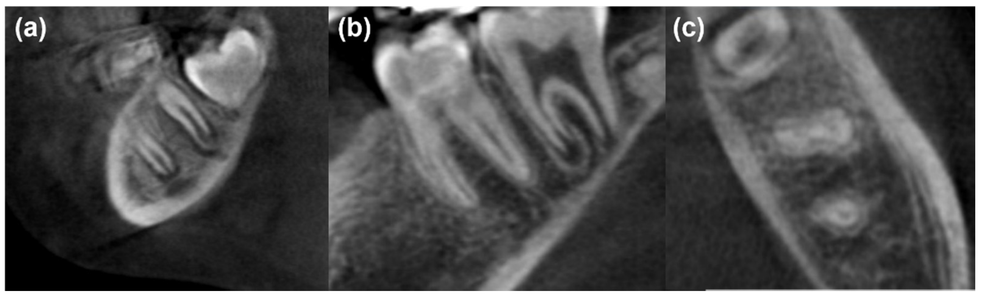 Healthcare 10 00431 g006 Healthcare 10 00431 g006
