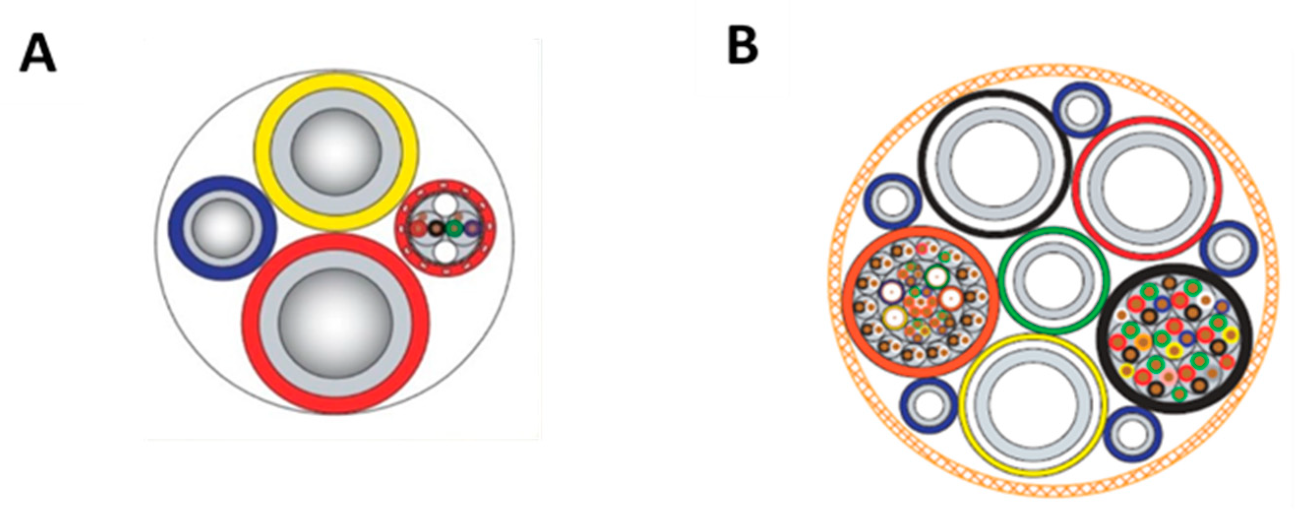Healthcare 10 00453 g002 550