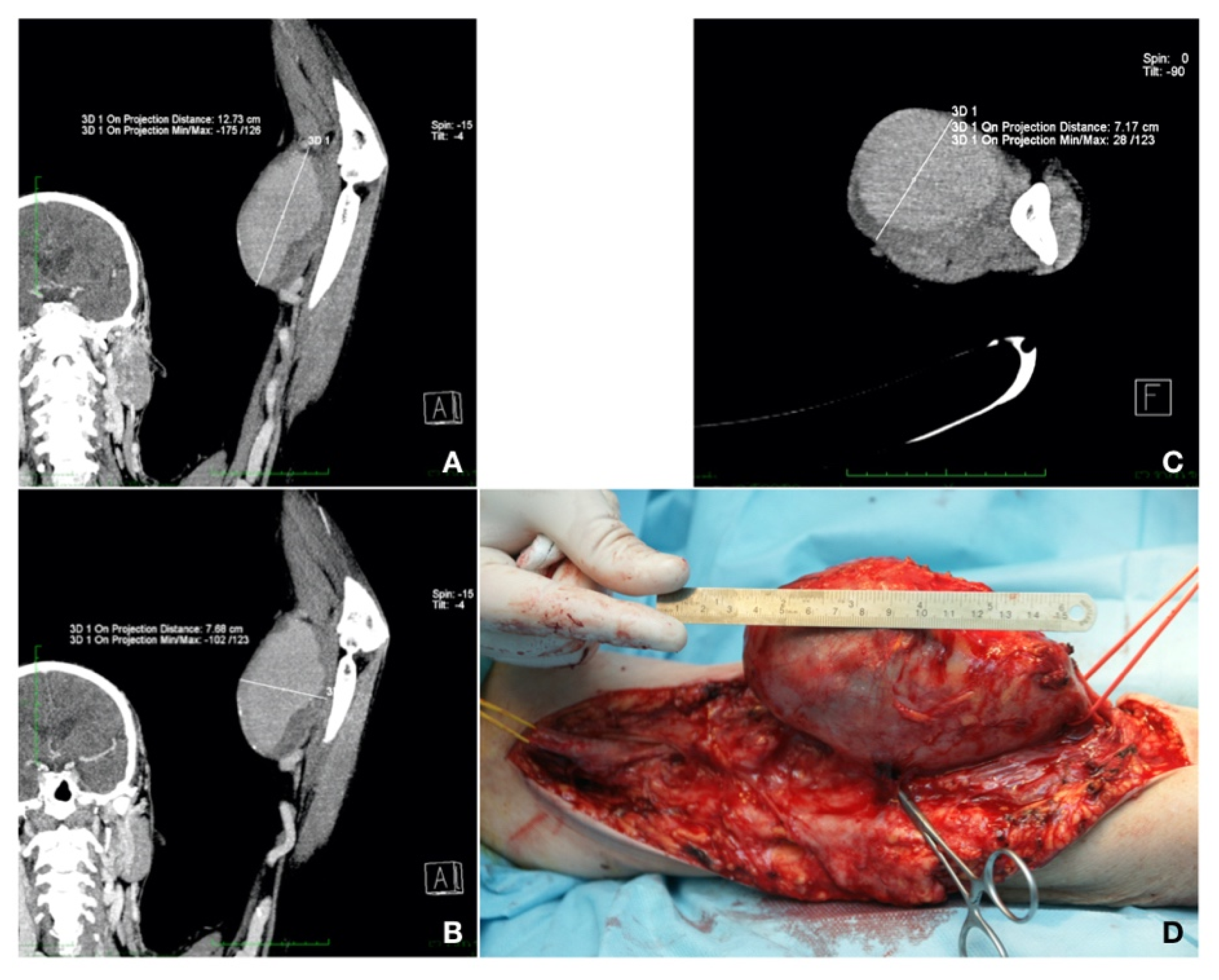 Healthcare 10 00470 g002