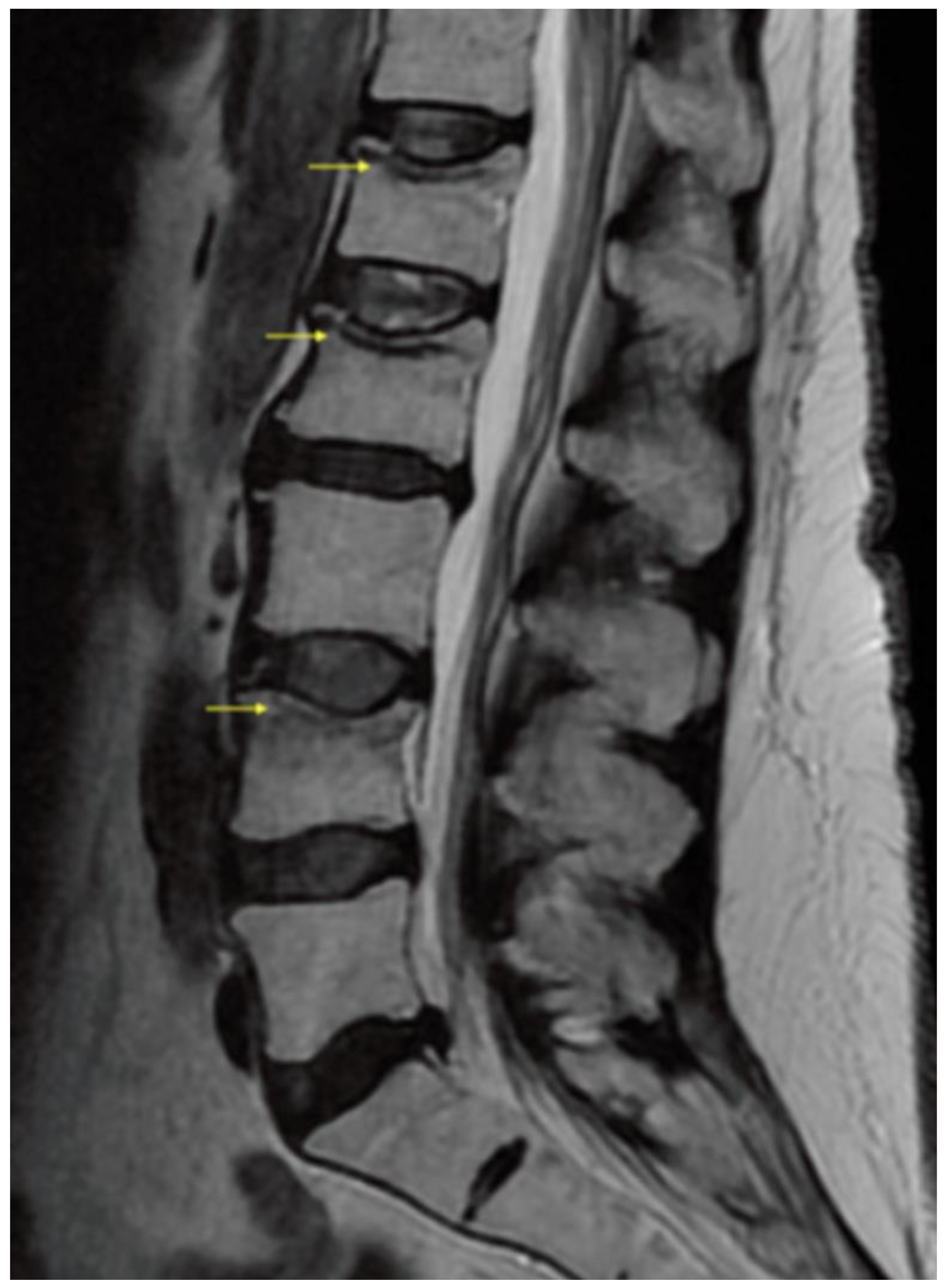 Healthcare 10 00497 g002