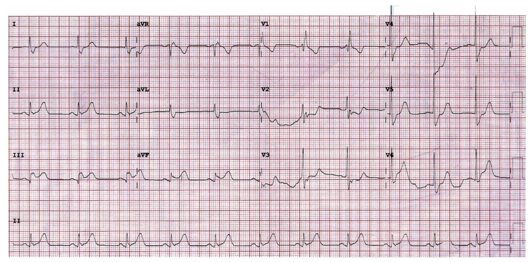 Healthcare 10 00507 g001