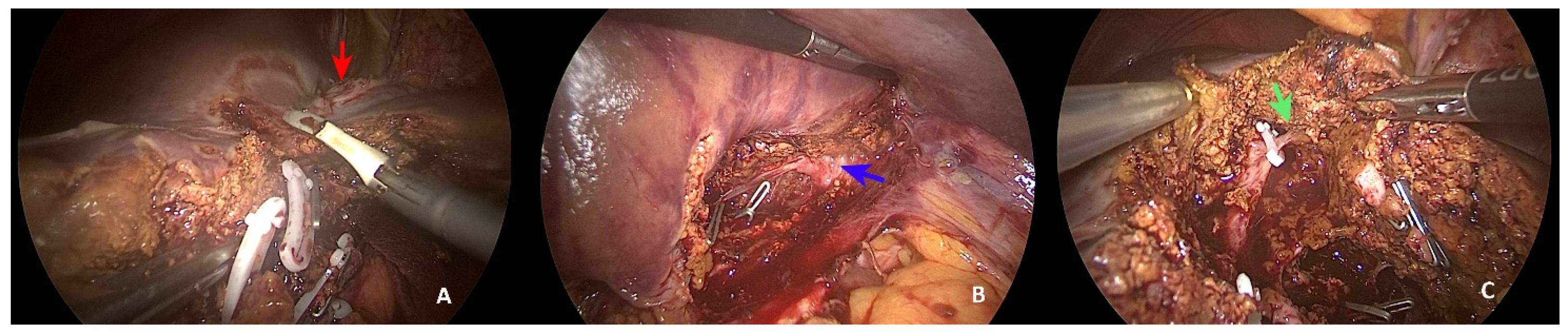 Healthcare 10 00517 g002 550