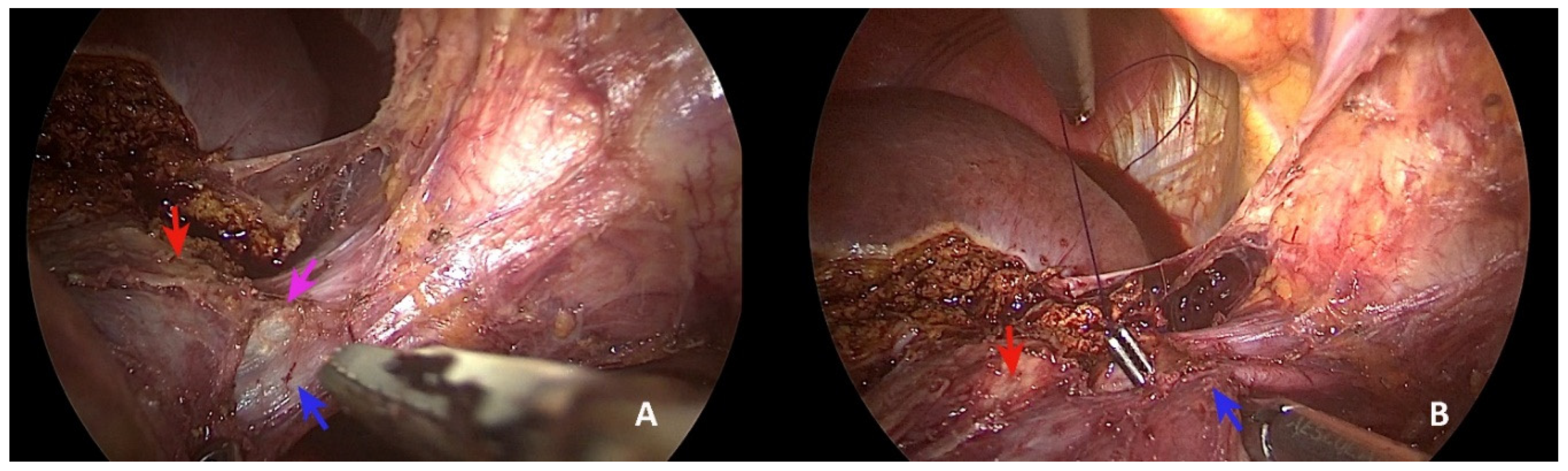 Healthcare 10 00517 g003 550
