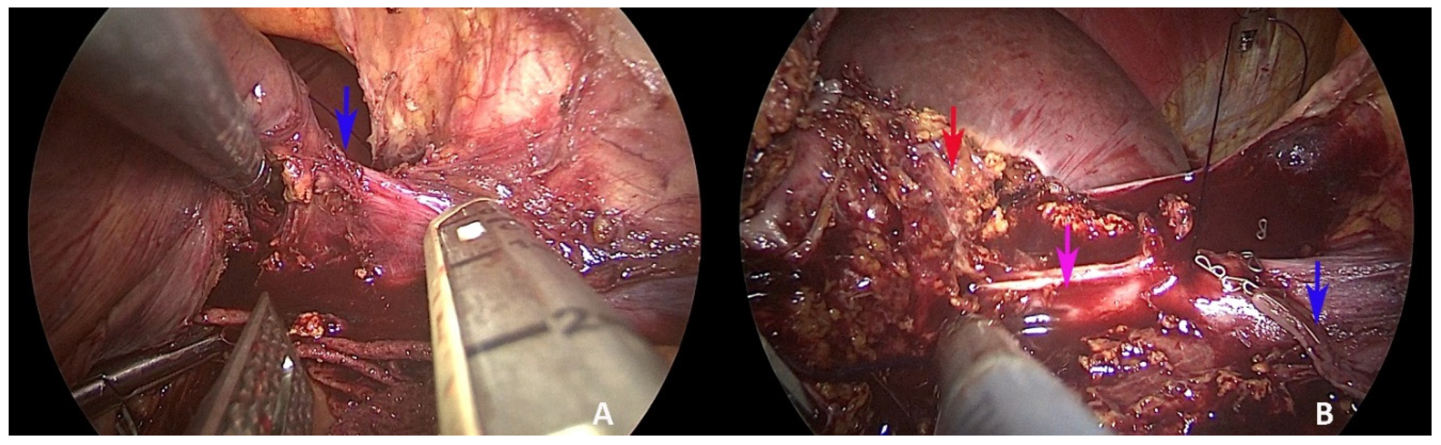 Healthcare 10 00517 g004 550