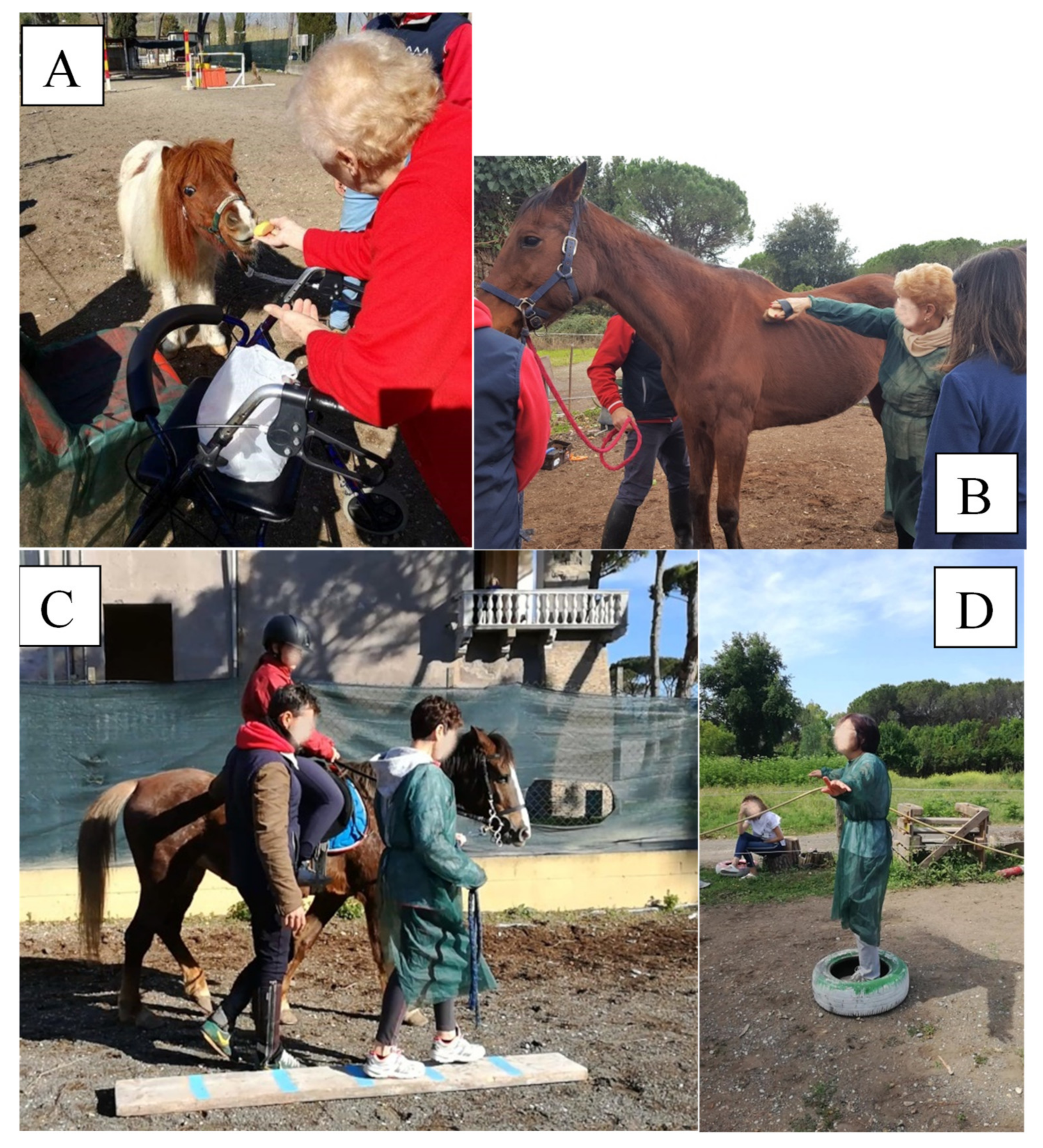 Healthcare 10 00561 g001