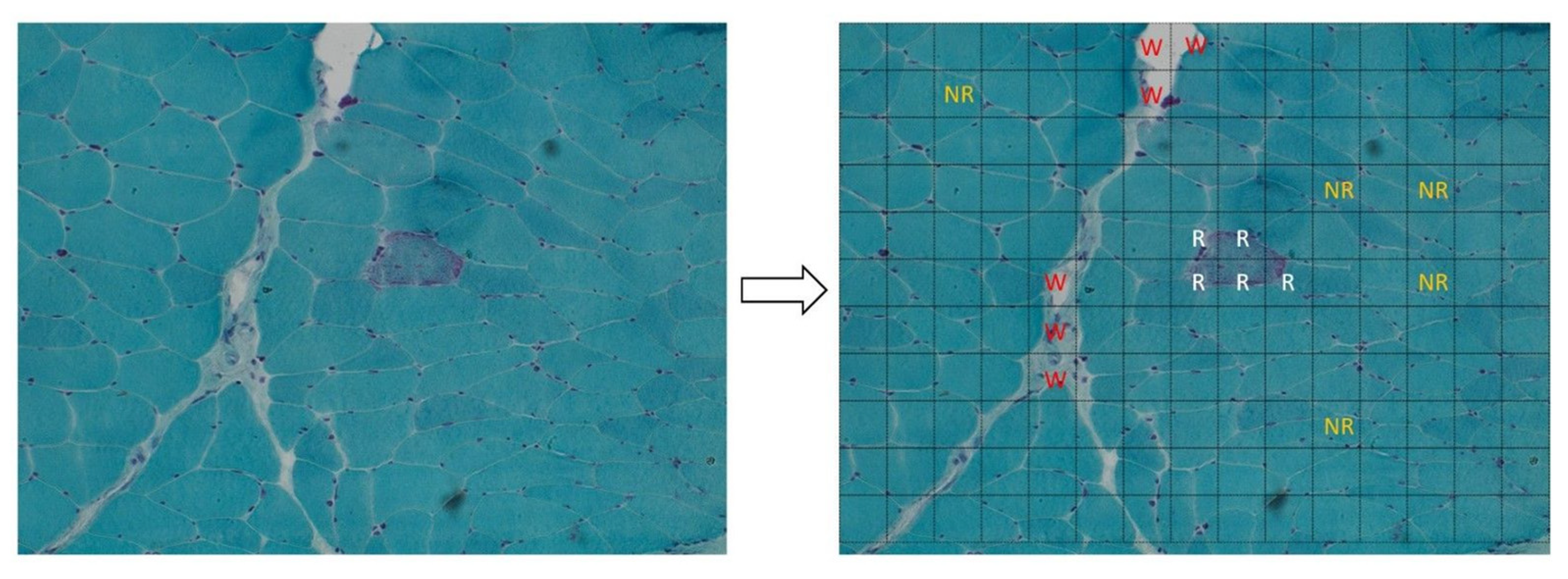 Healthcare 10 00574 g001