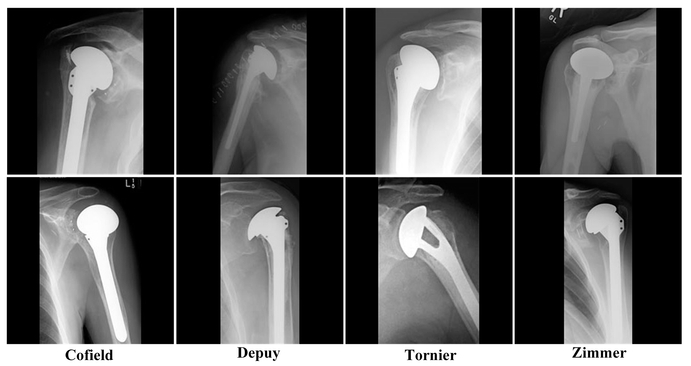 Healthcare 10 00580 g001