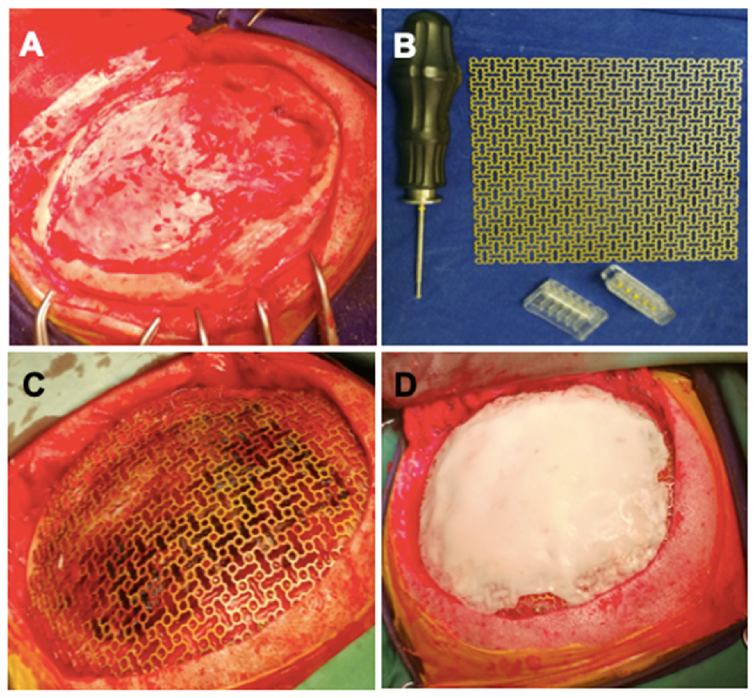 Healthcare 10 00655 g002 Healthcare 10 00655 g002