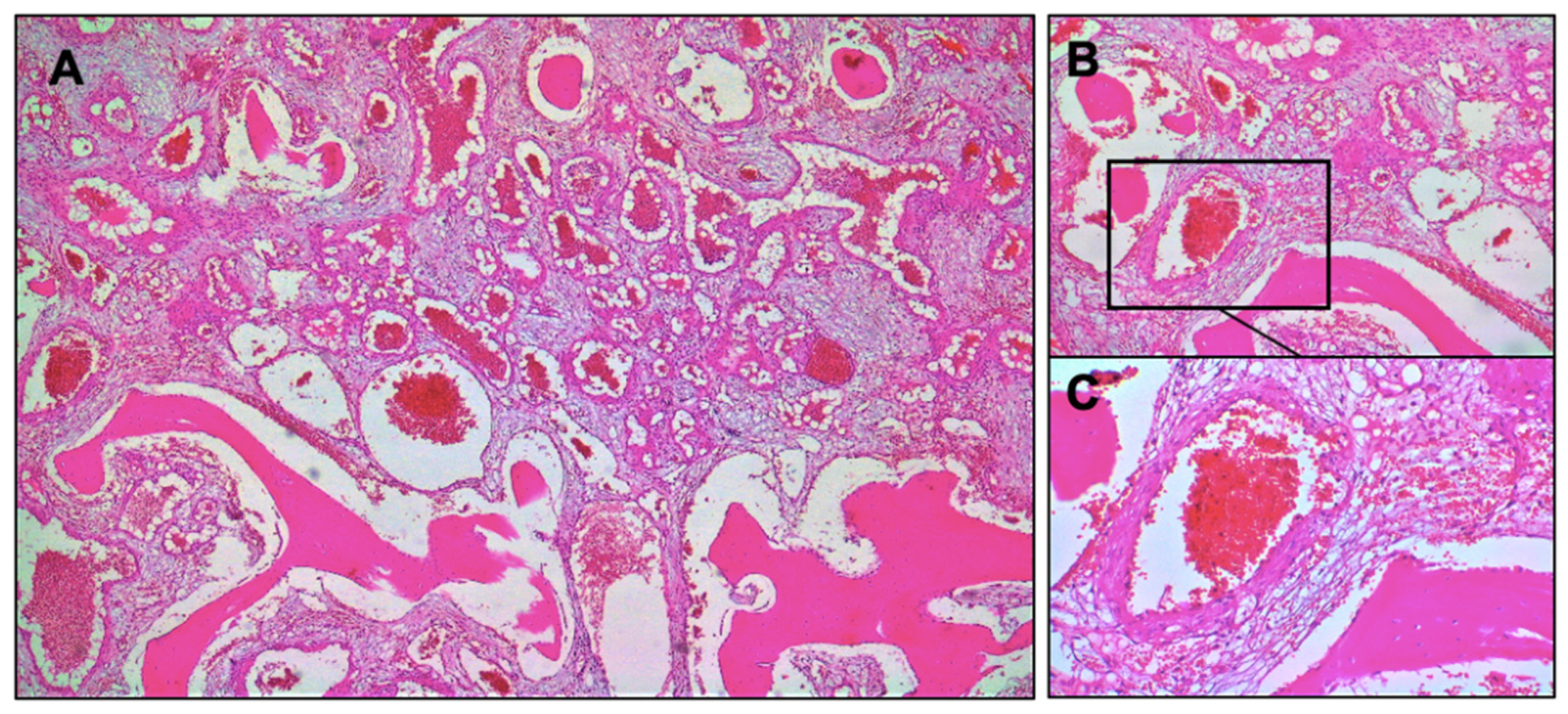 Healthcare 10 00655 g004 Healthcare 10 00655 g004