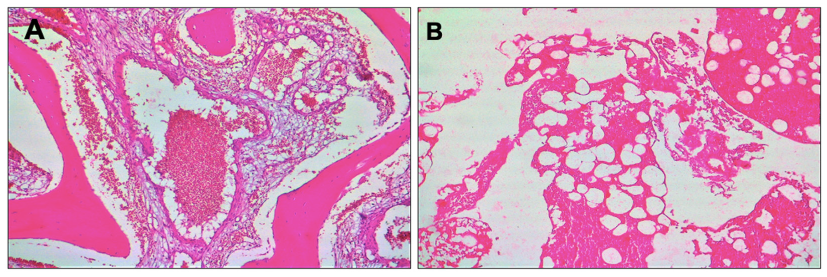 Healthcare 10 00655 g005 Healthcare 10 00655 g005