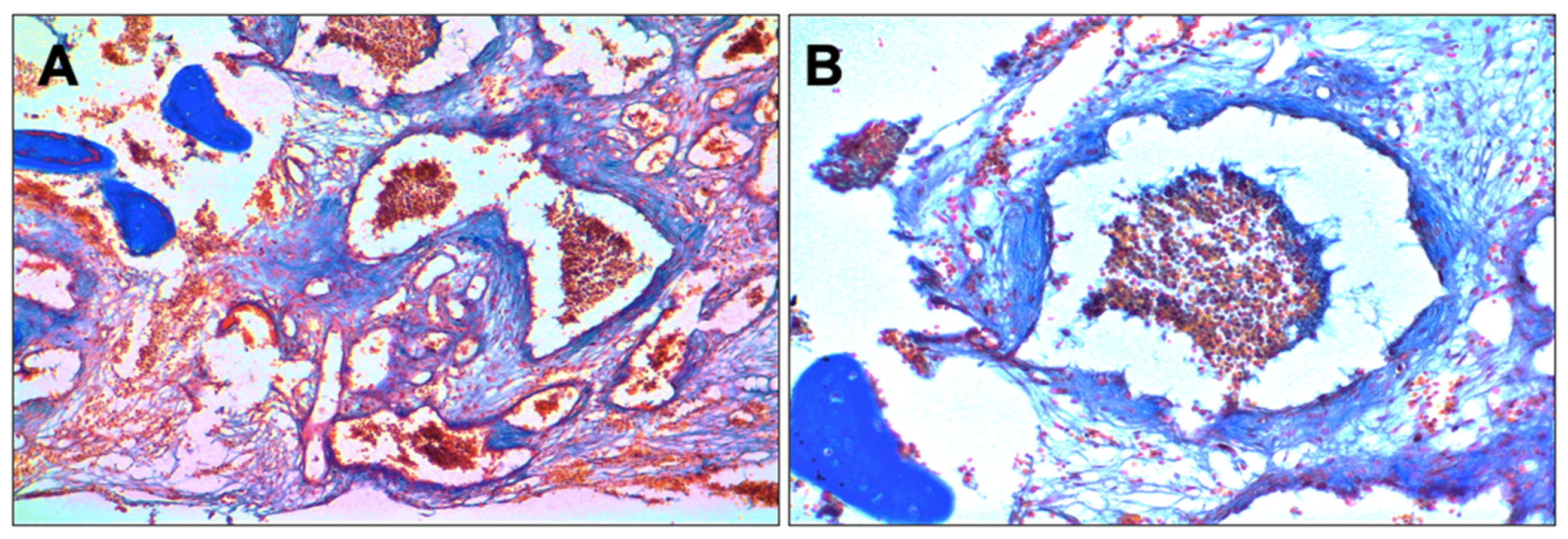 Healthcare 10 00655 g006 Healthcare 10 00655 g006