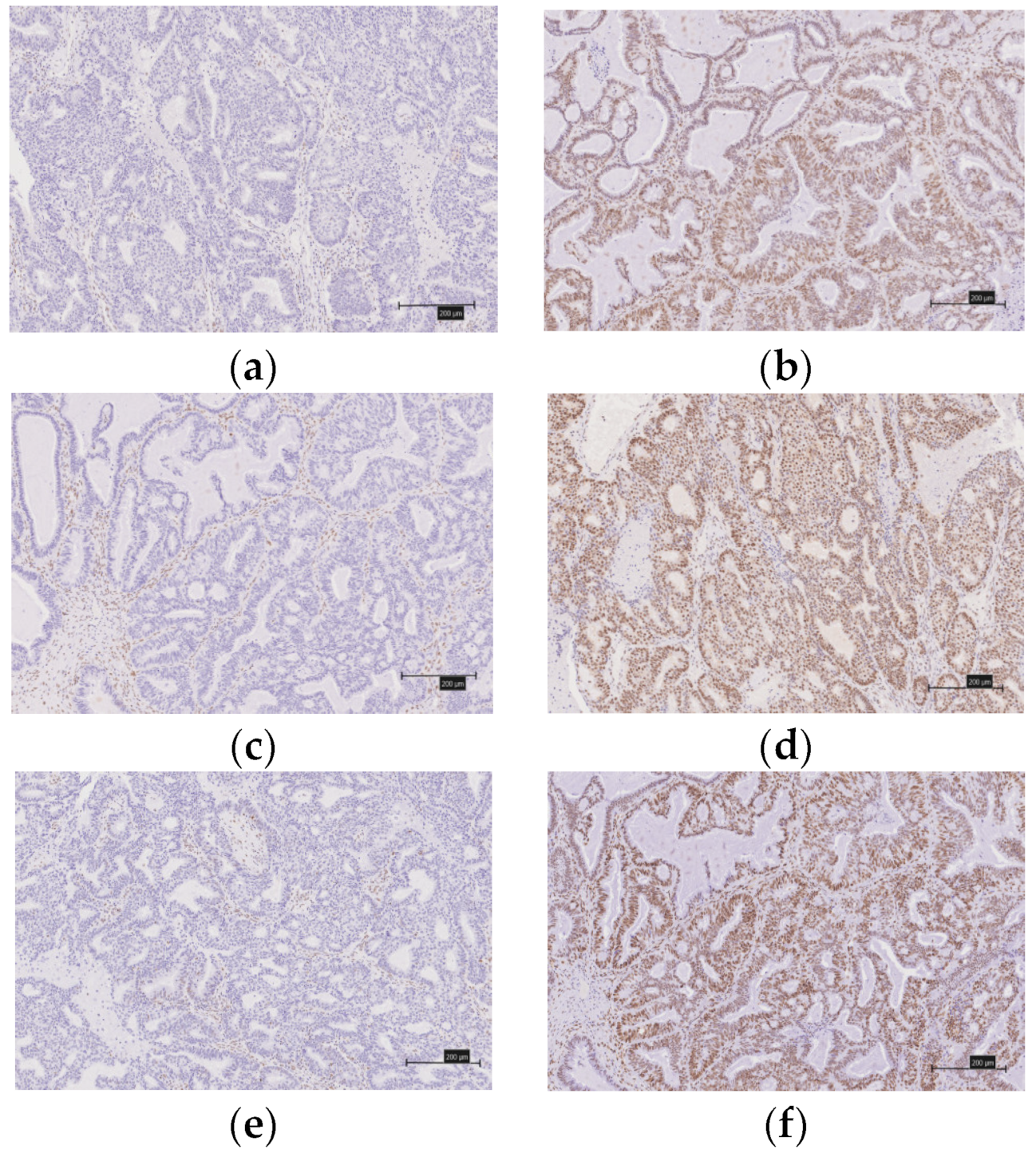 Healthcare 10 00694 g002a