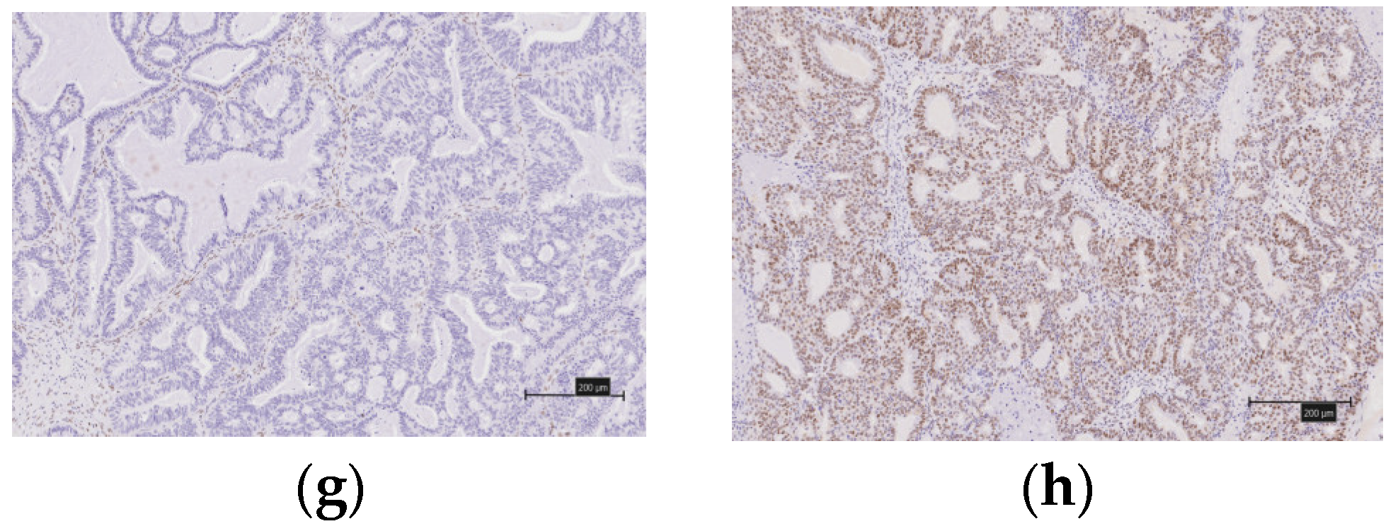 Healthcare 10 00694 g002b