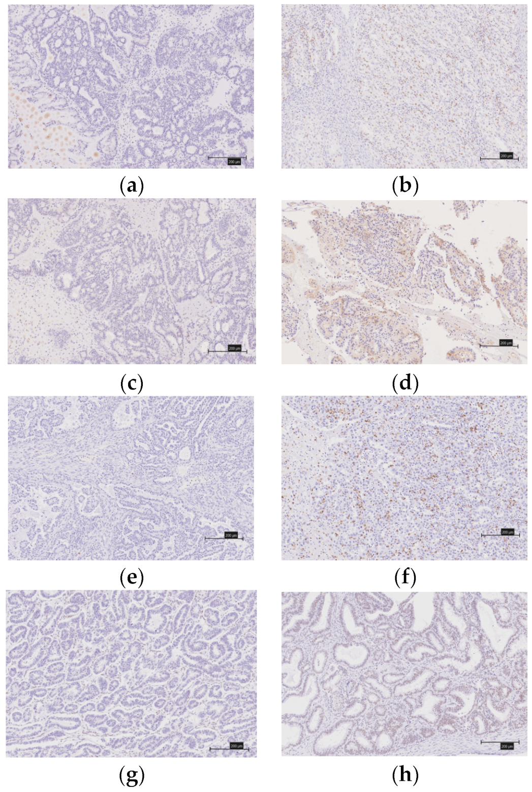 Healthcare 10 00694 g003