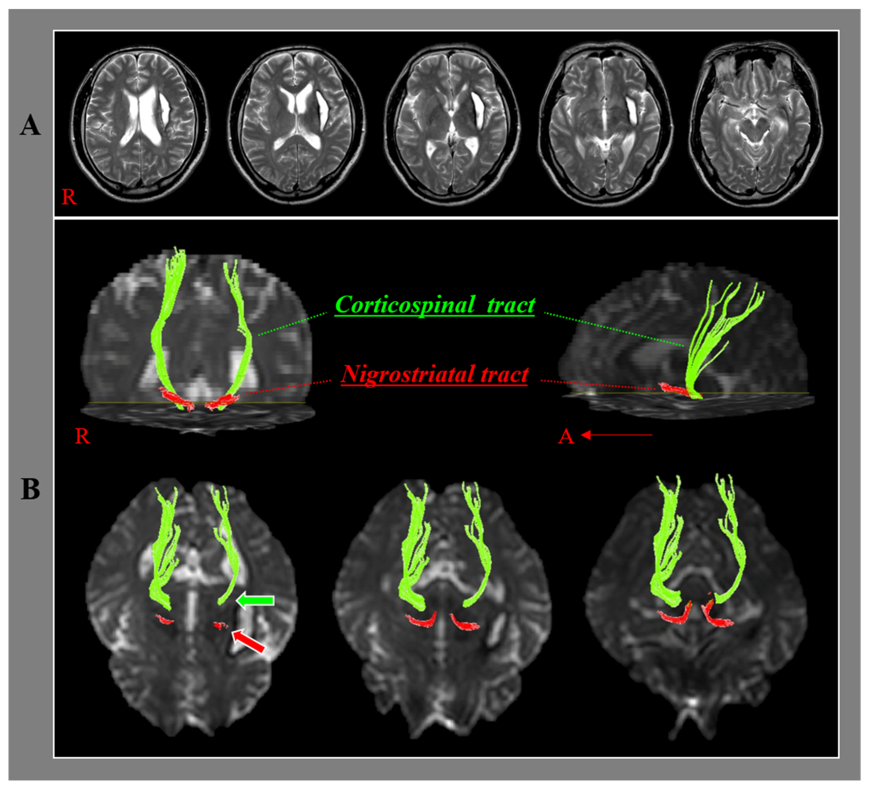 Healthcare 10 00731 g001