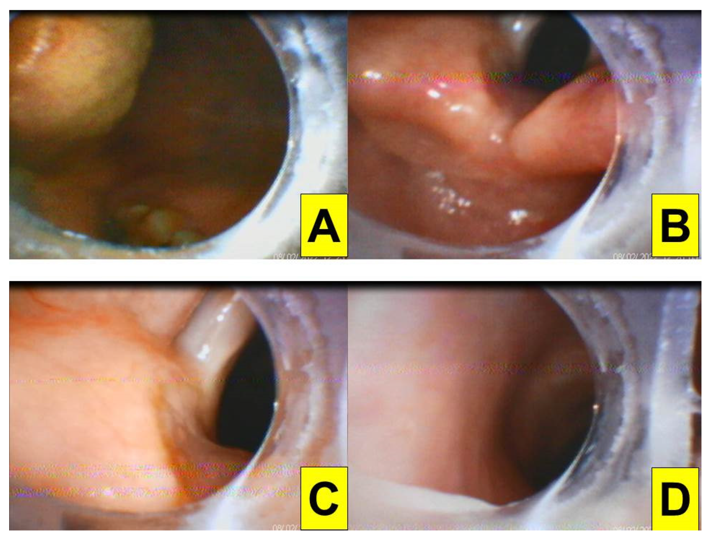 Healthcare 10 00741 g002