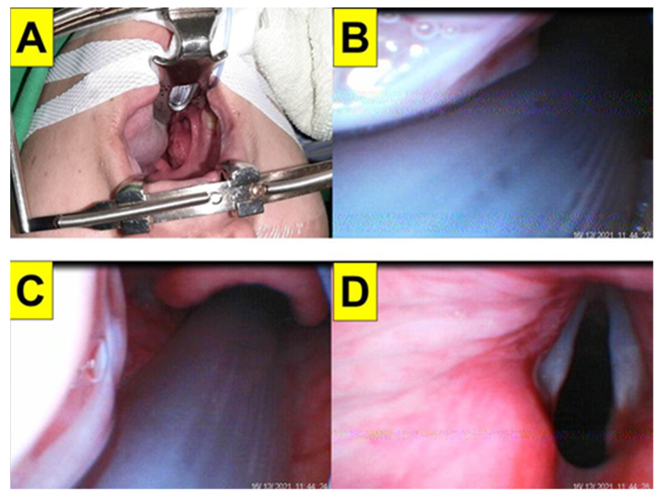 Healthcare 10 00741 g004