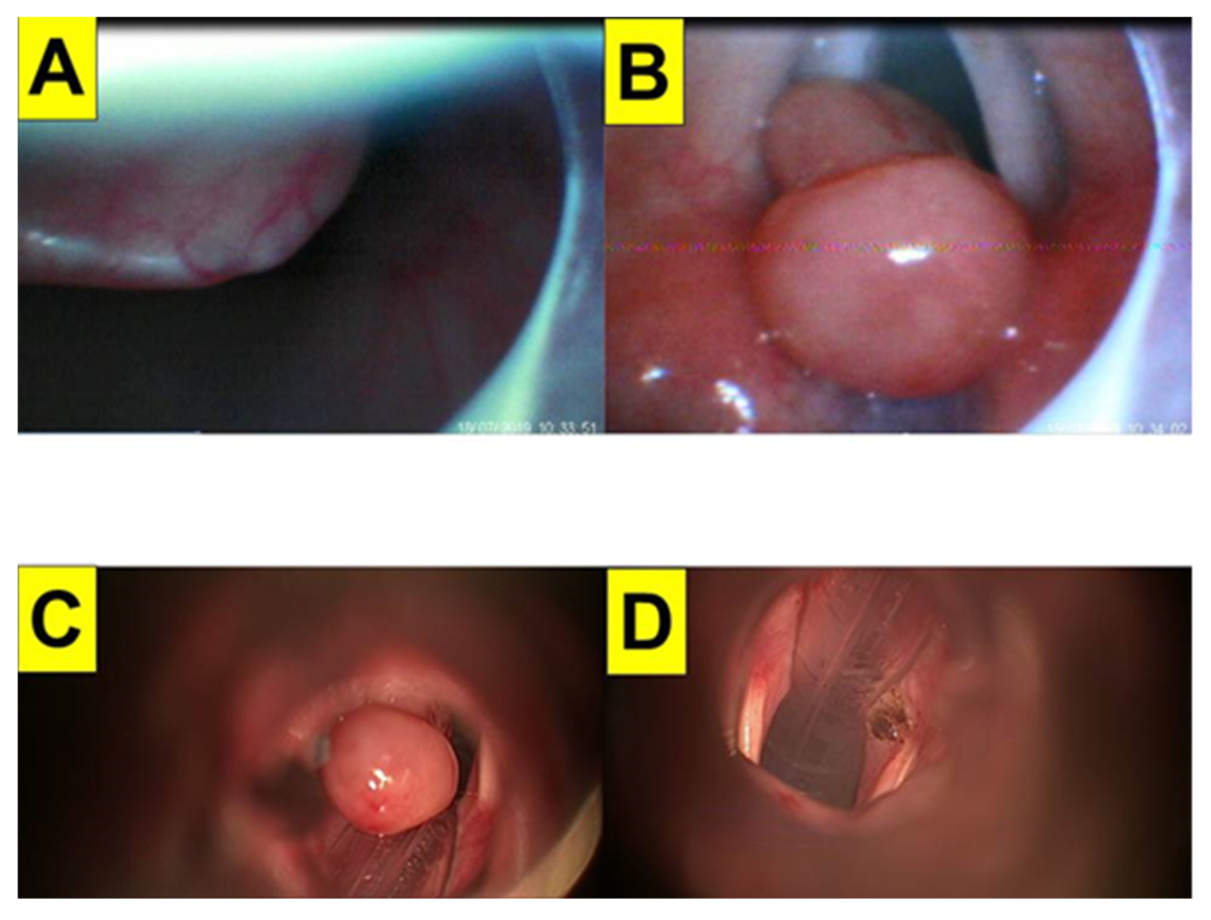 Healthcare 10 00741 g007