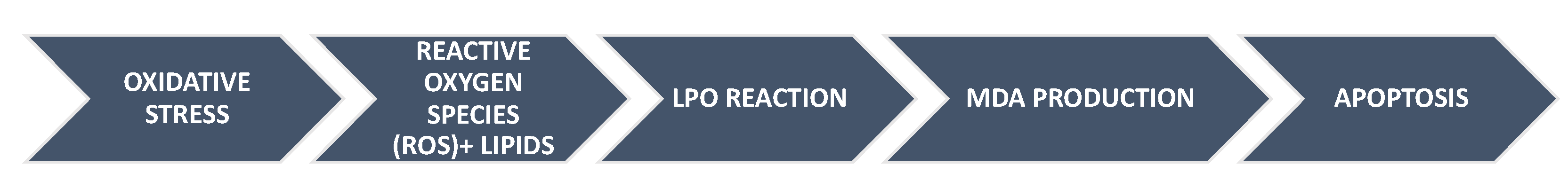 Healthcare 10 00762 g001 550