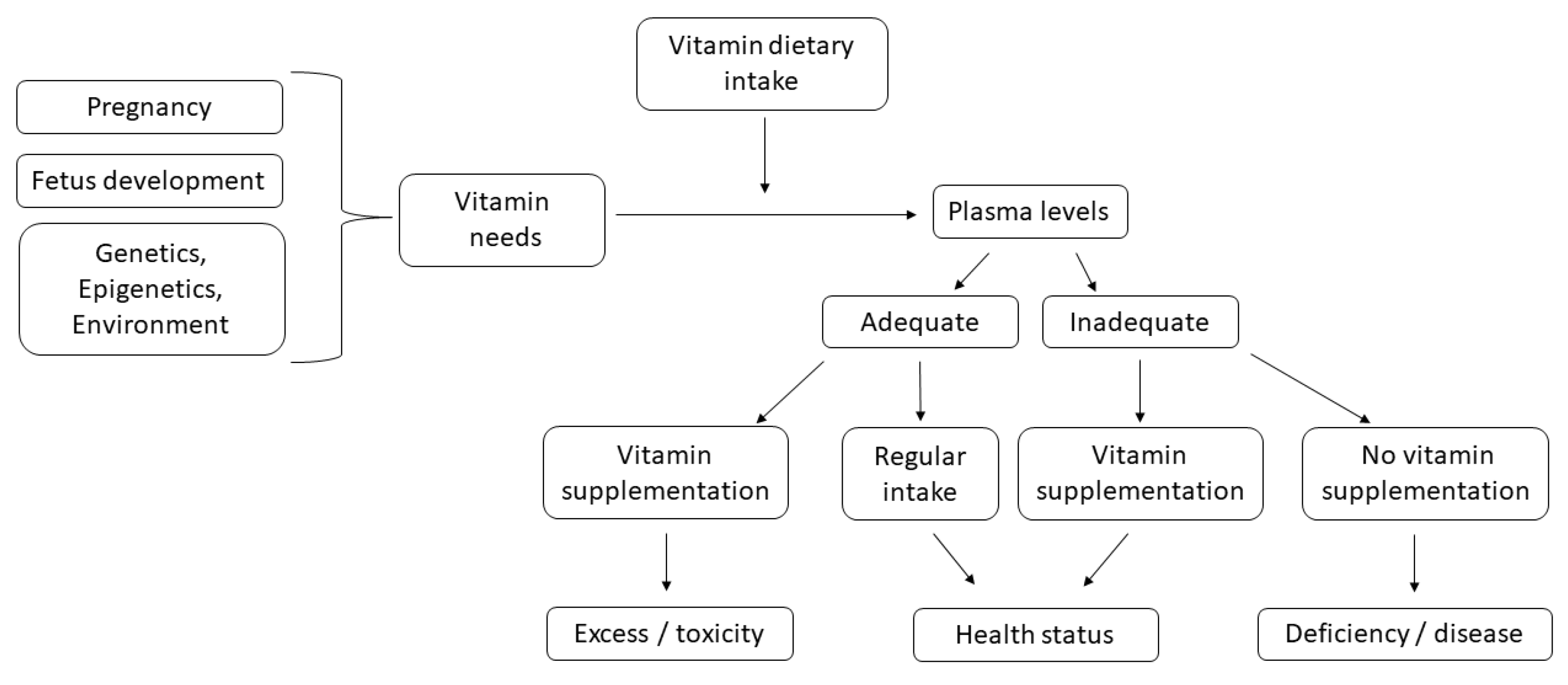 Healthcare Free Full-Text Dietary Intake and Genetic Background Influence Vitamin Needs during Pregnancy