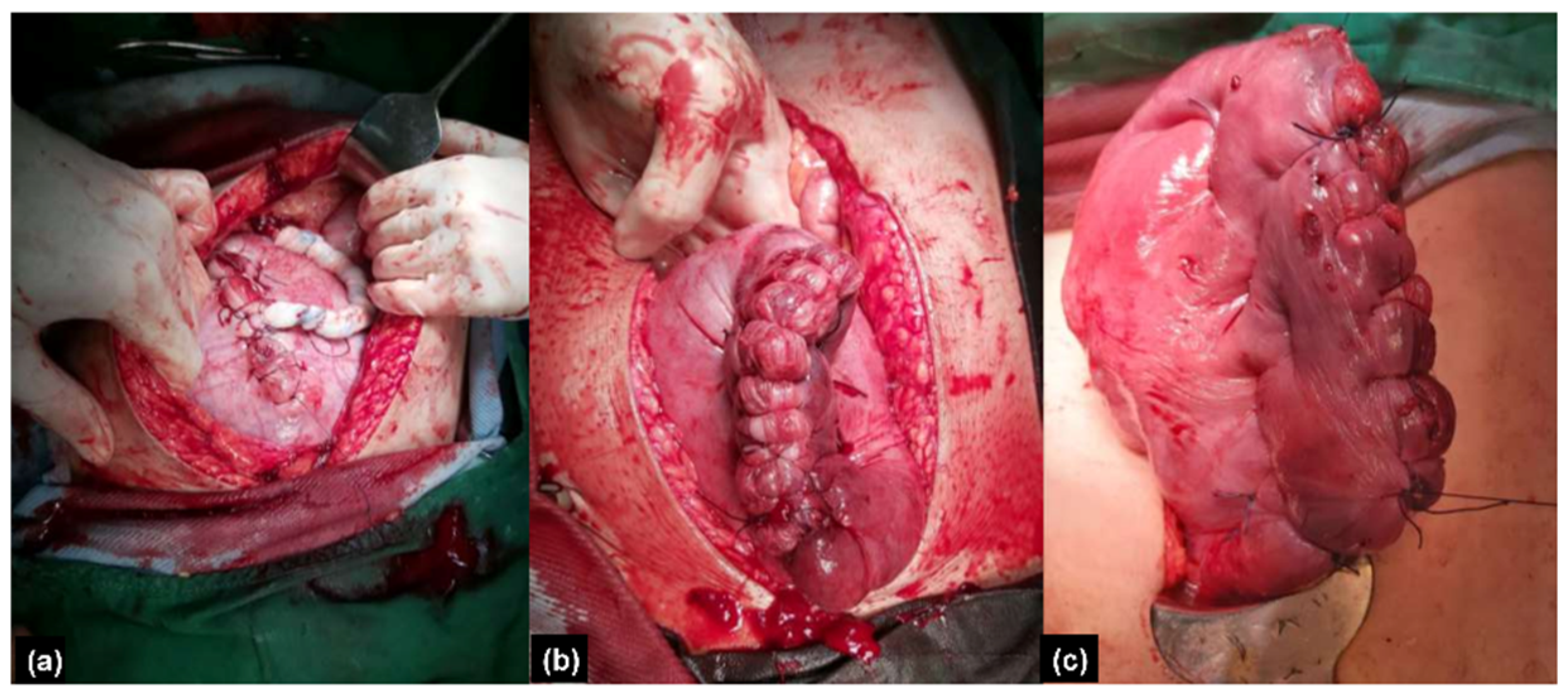 Healthcare 10 00774 g002 550