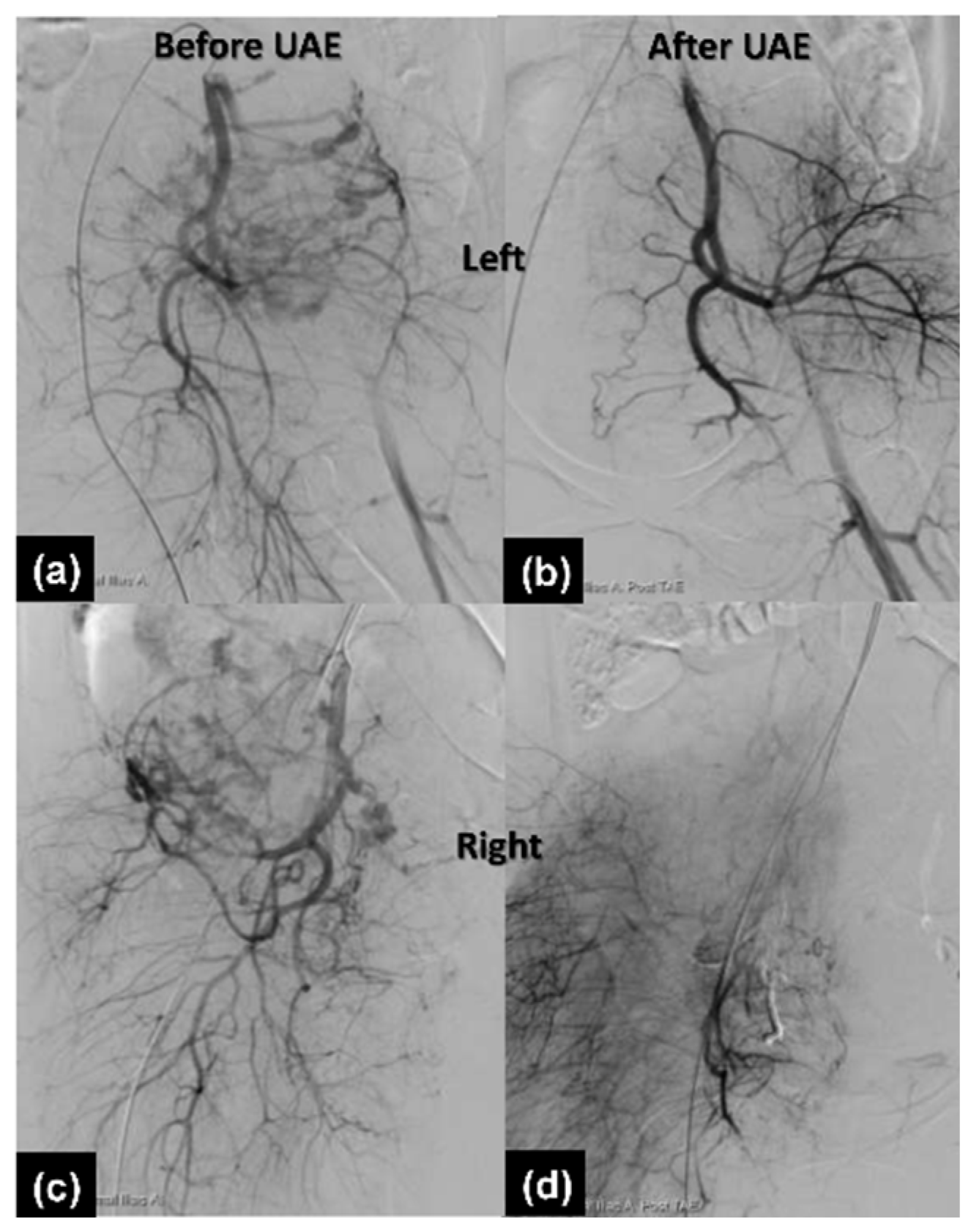 Healthcare 10 00774 g003 550