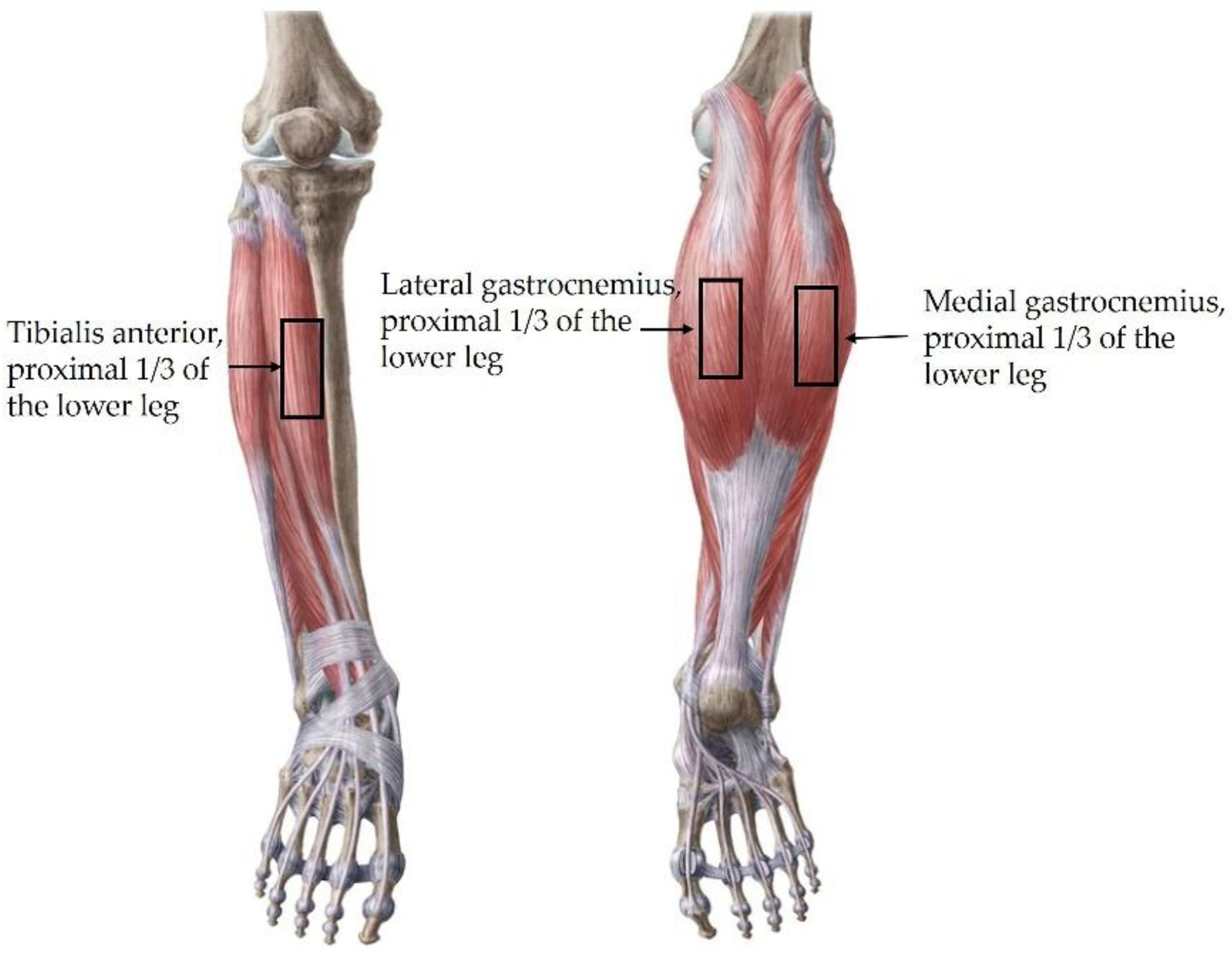 Healthcare 10 00785 g003 Healthcare 10 00785 g003
