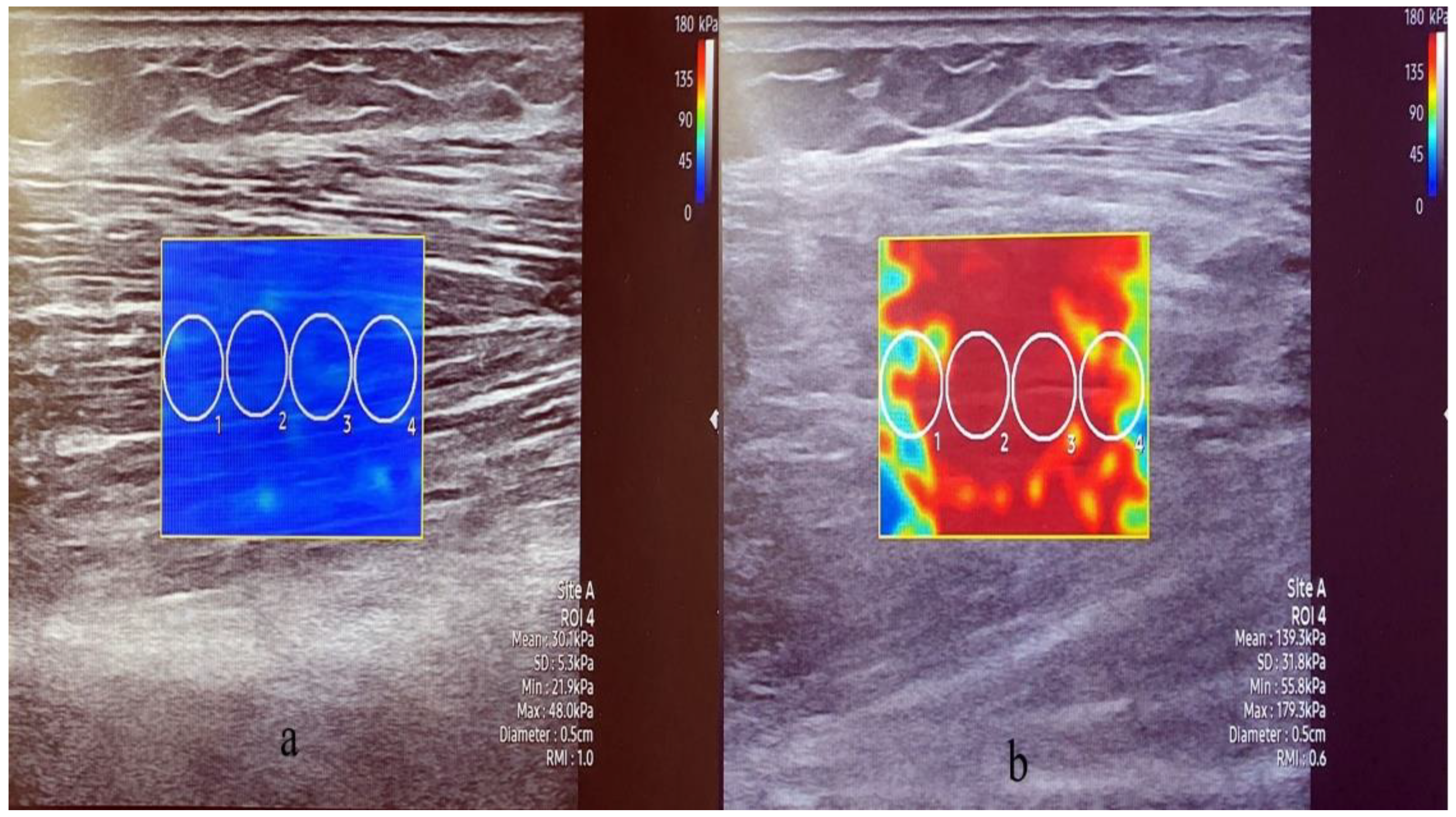 Healthcare 10 00785 g004 Healthcare 10 00785 g004